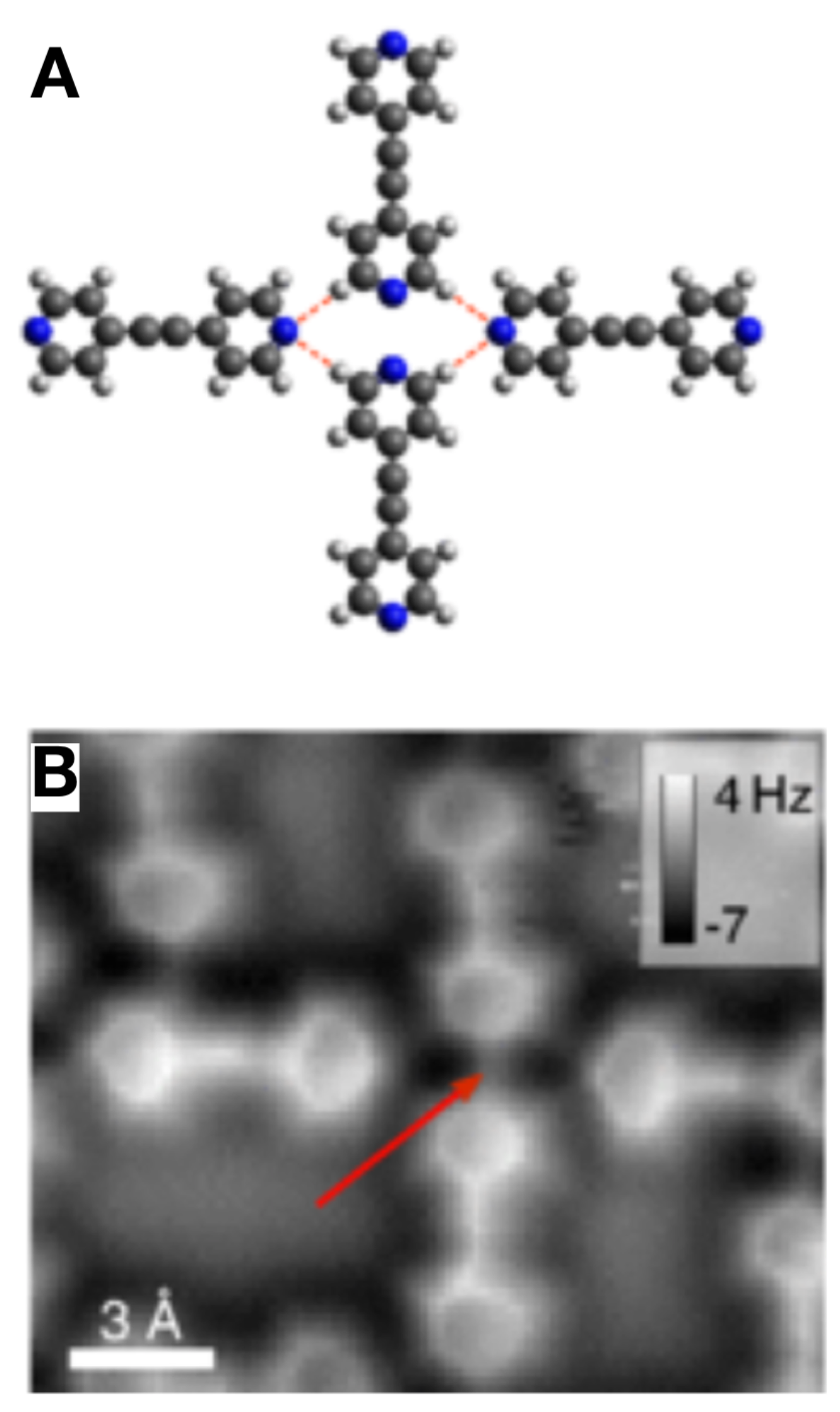 Molecules 26 04068 g015