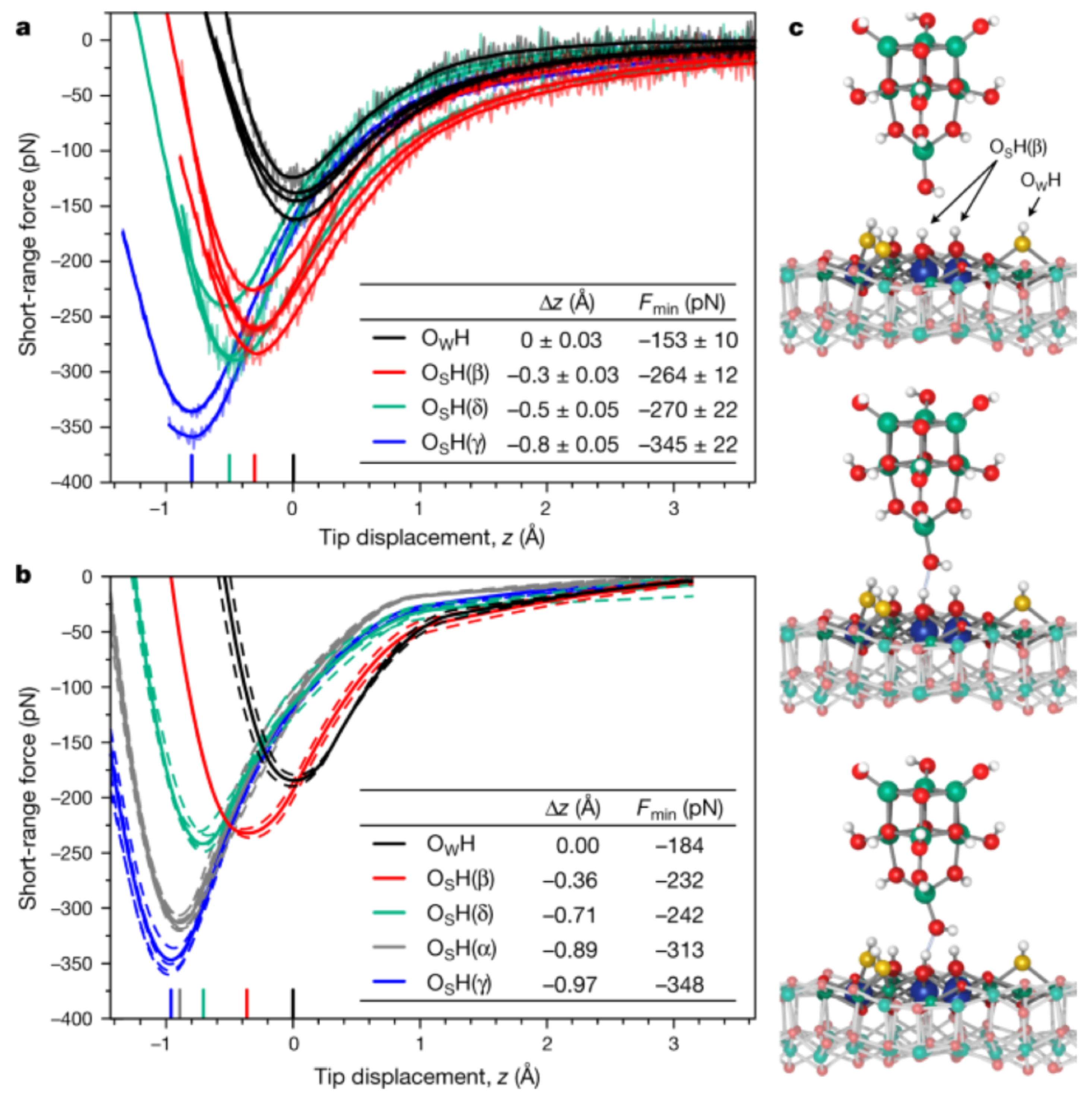 Molecules 26 04068 g017