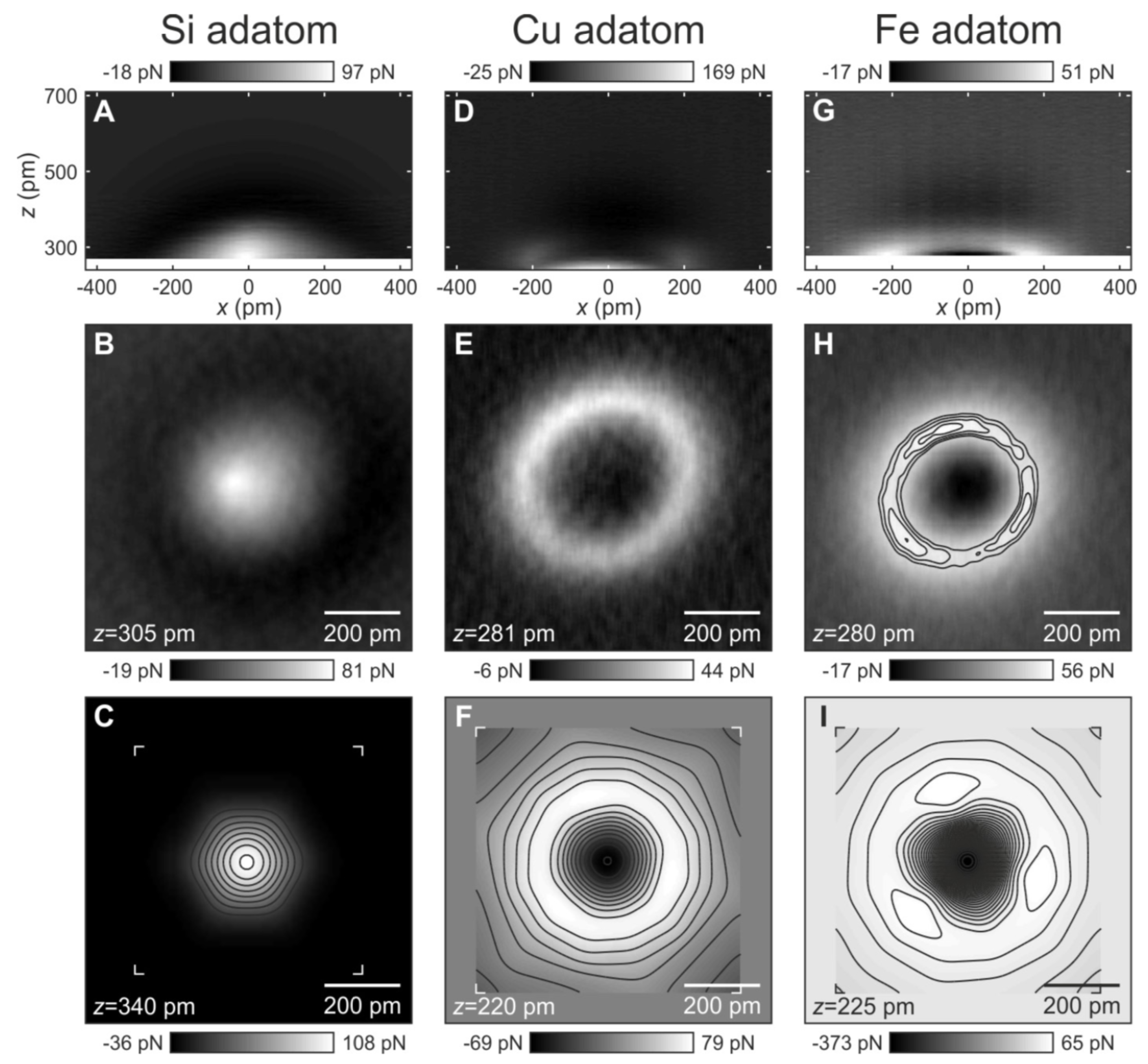 Molecules 26 04068 g018