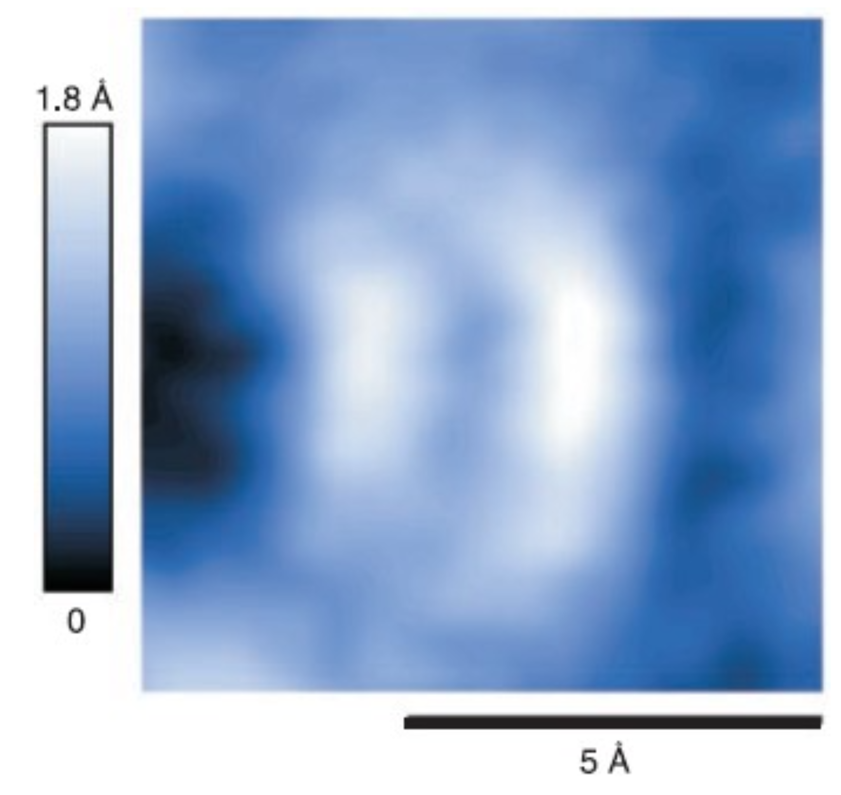 Molecules 26 04068 g021