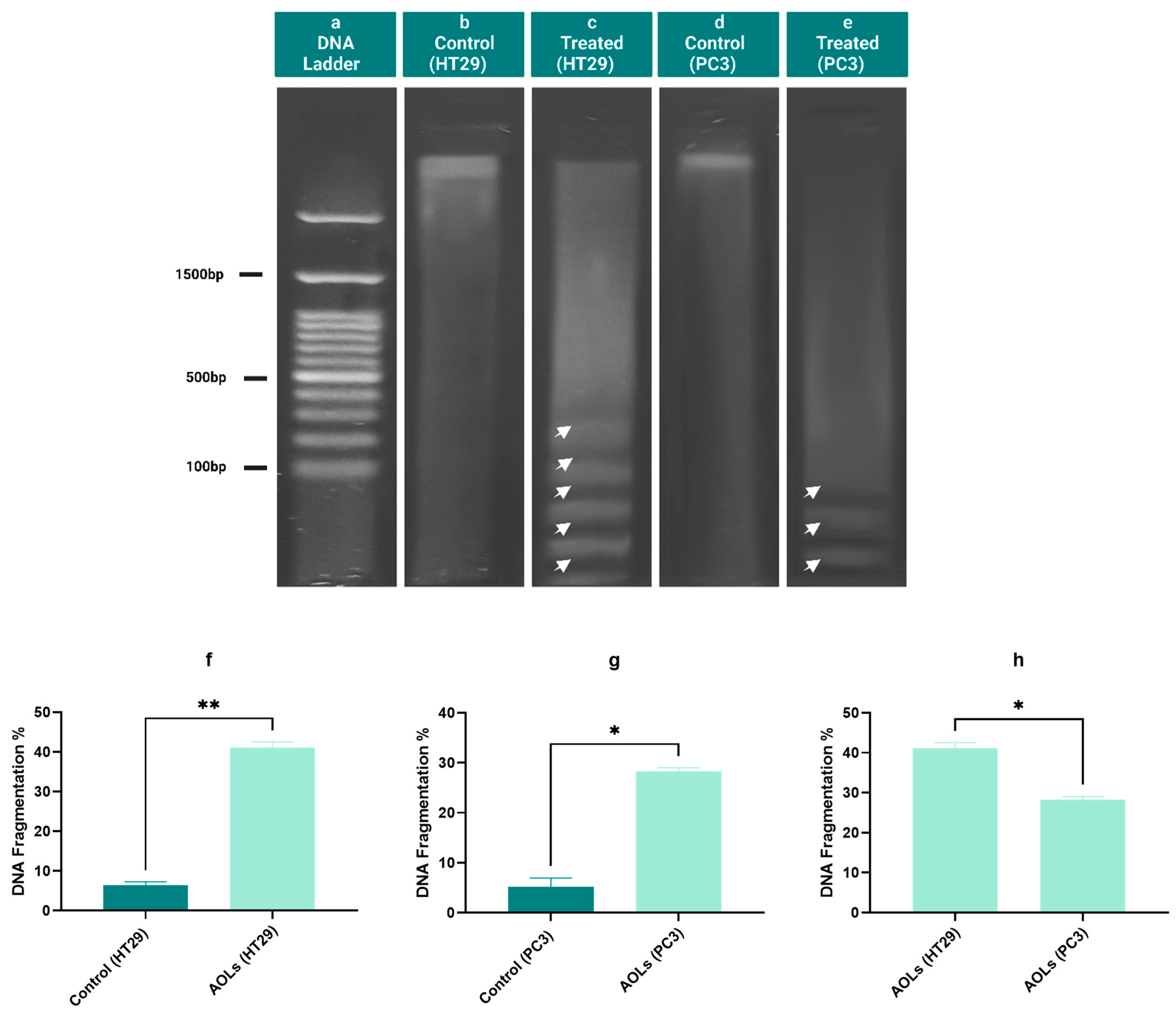 Molecules 26 04069 g008