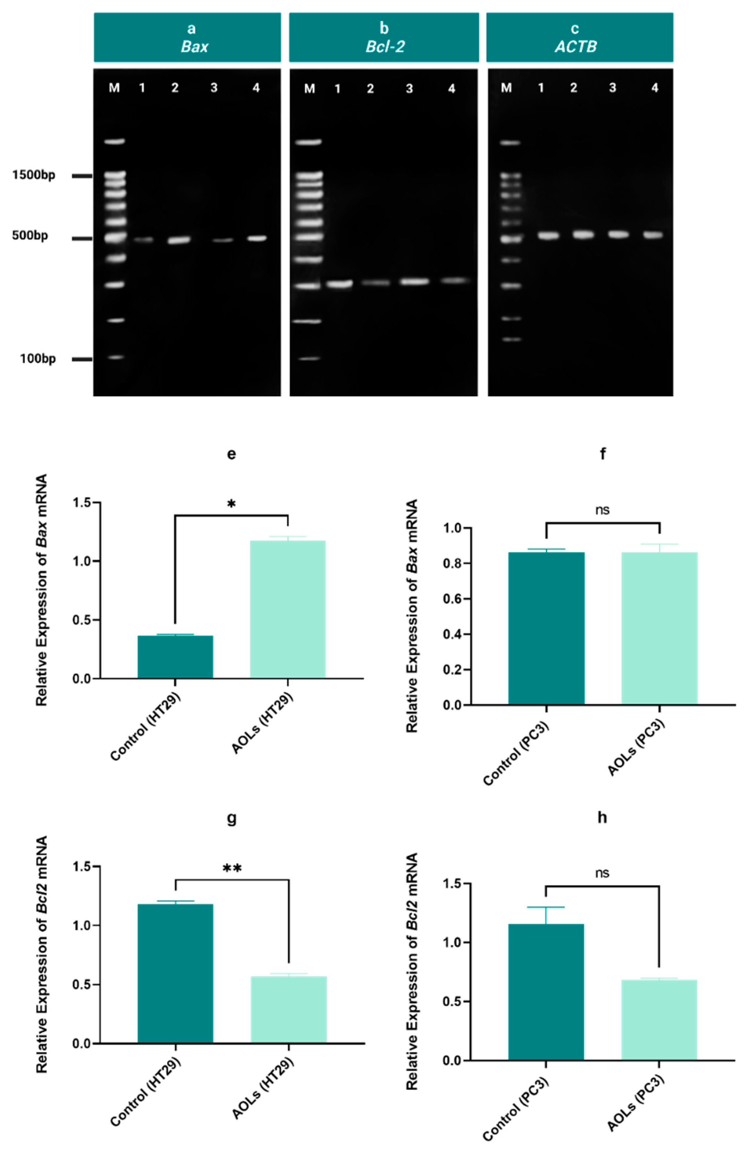Molecules 26 04069 g009