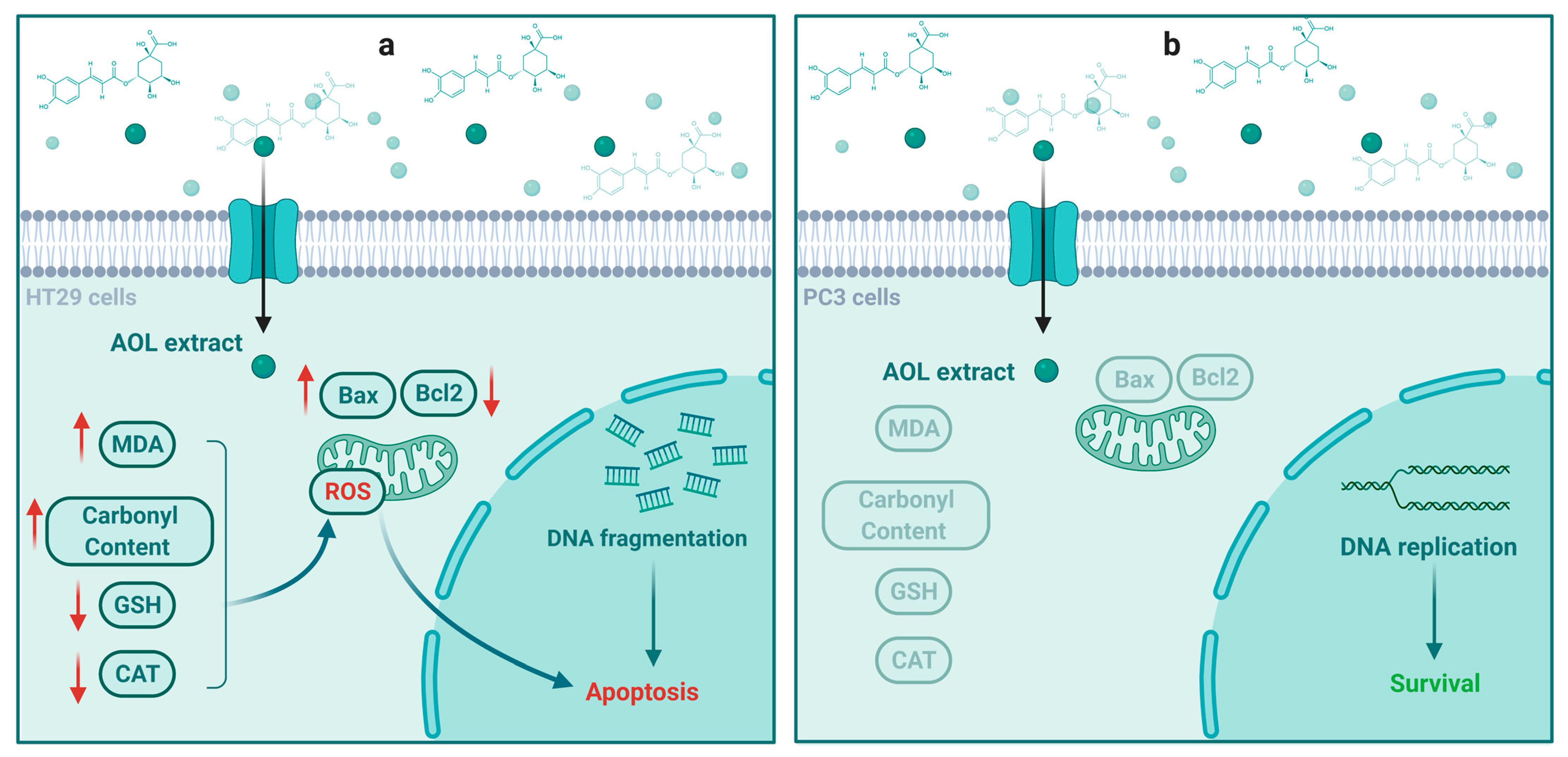 Molecules 26 04069 g011