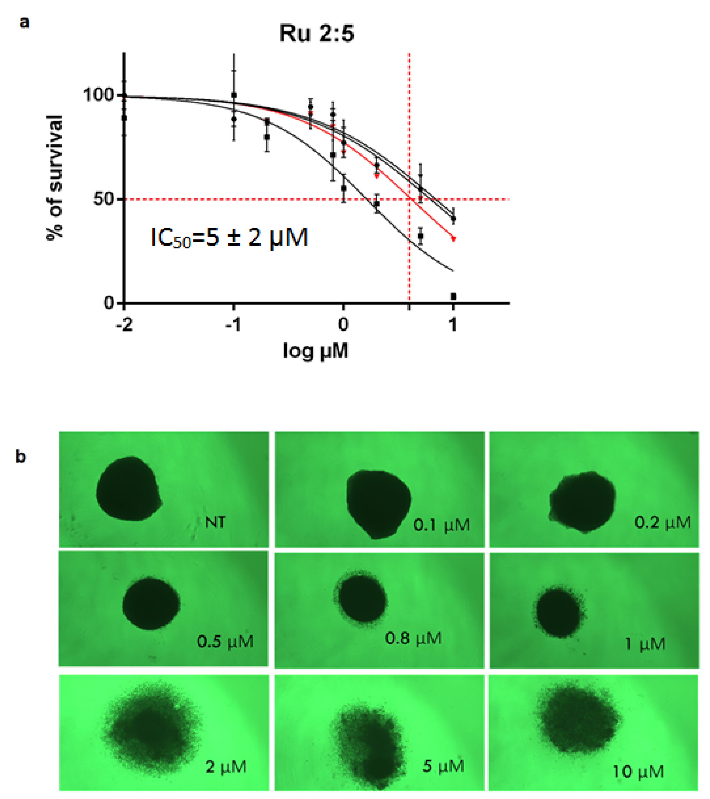 Molecules 26 04073 g002