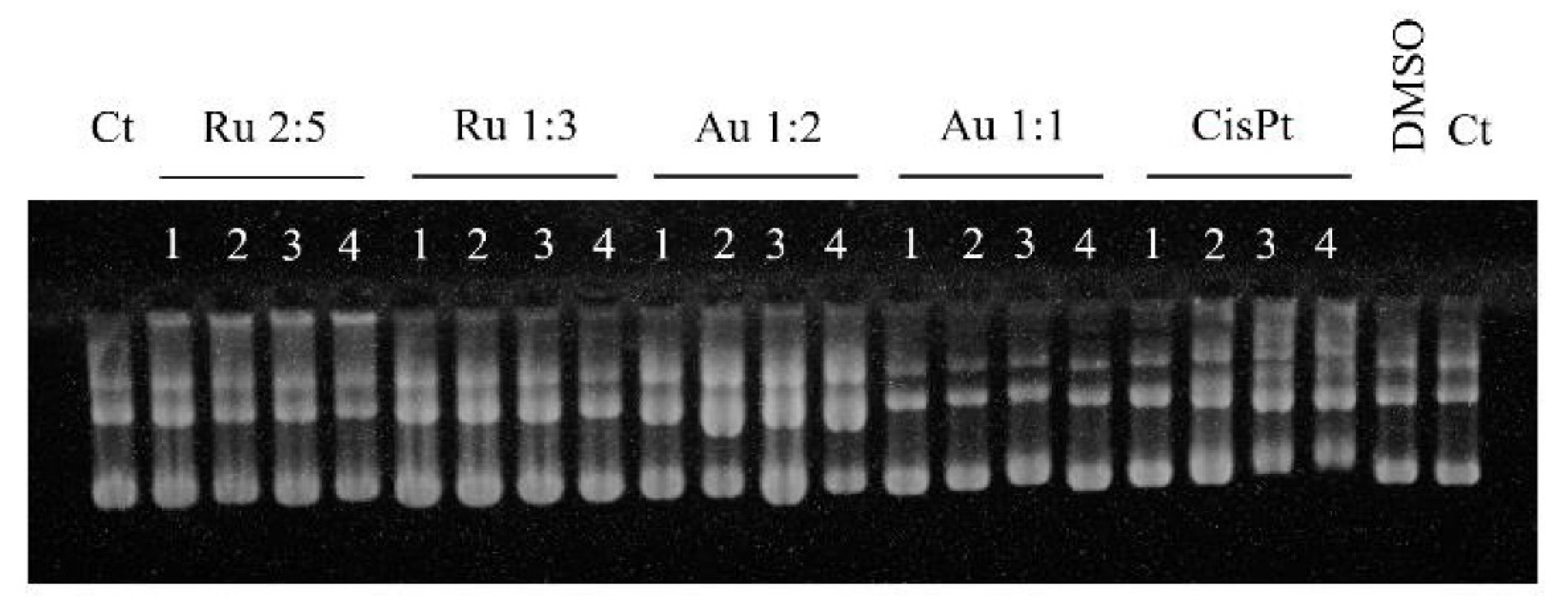 Molecules 26 04073 g003