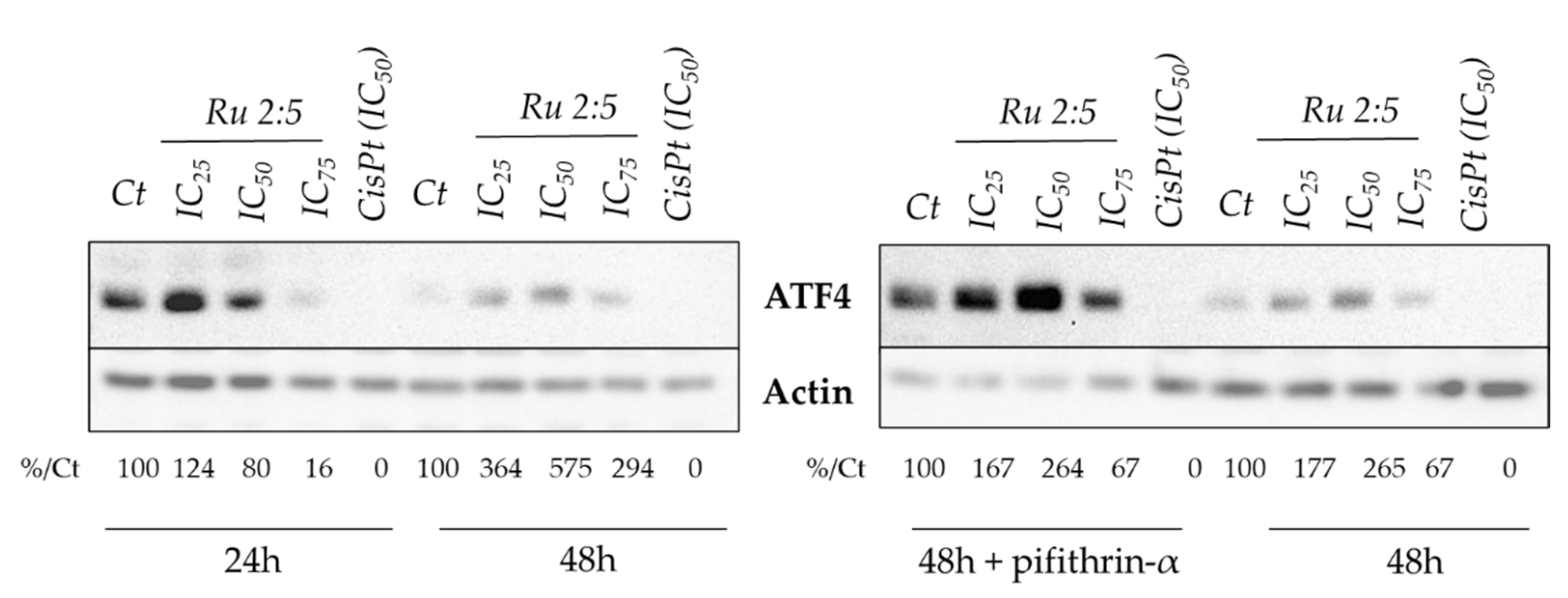 Molecules 26 04073 g006