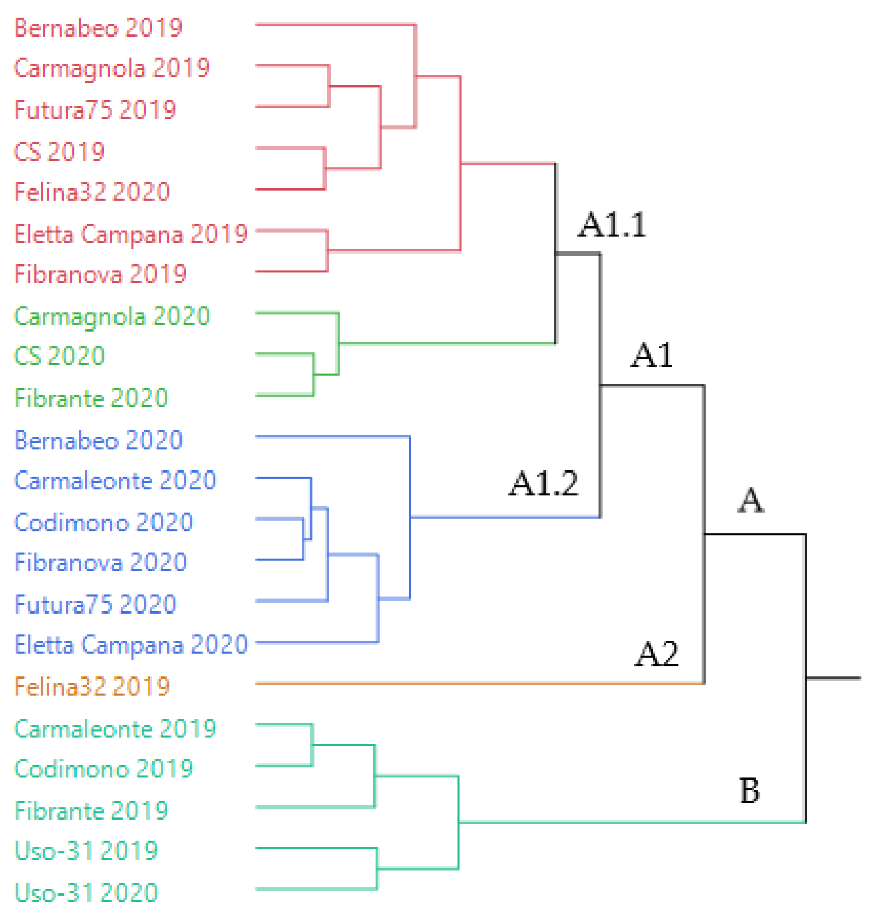 Molecules 26 04080 g001 550
