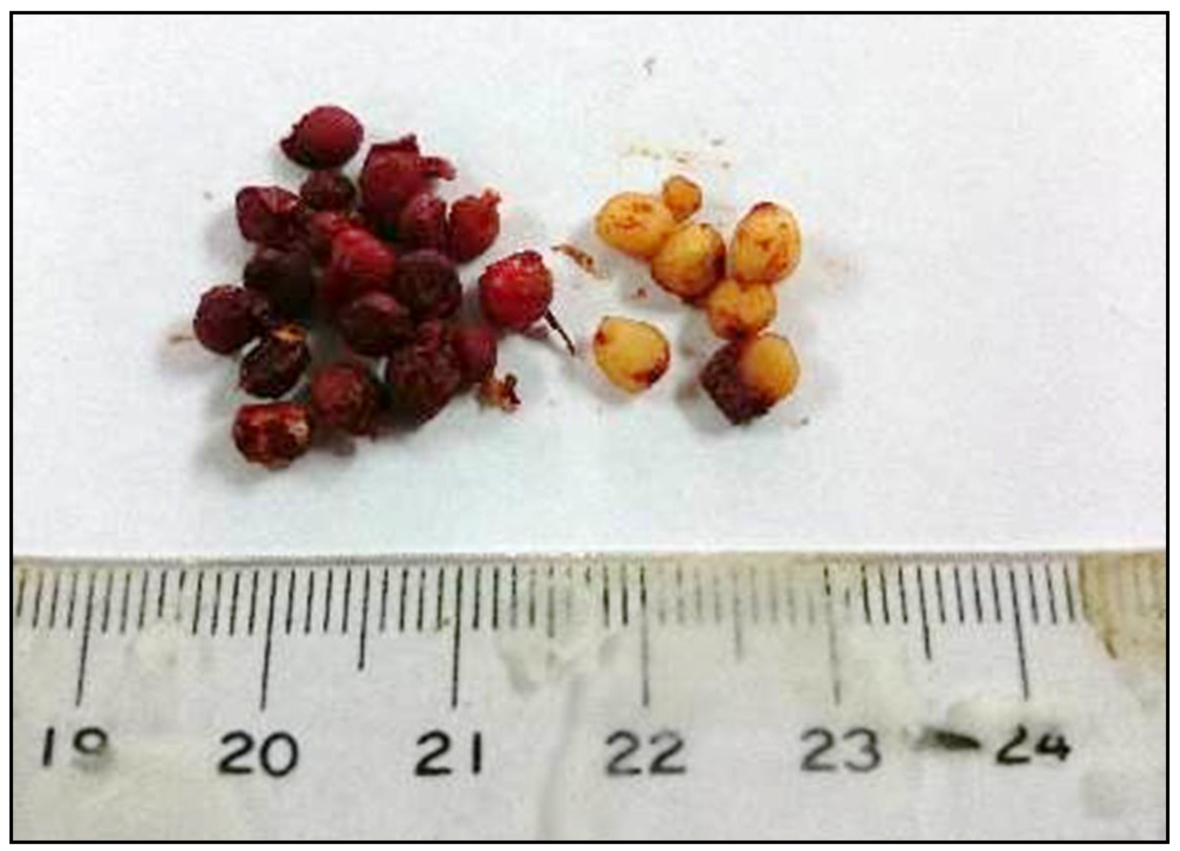 Molecules 26 04081 g001