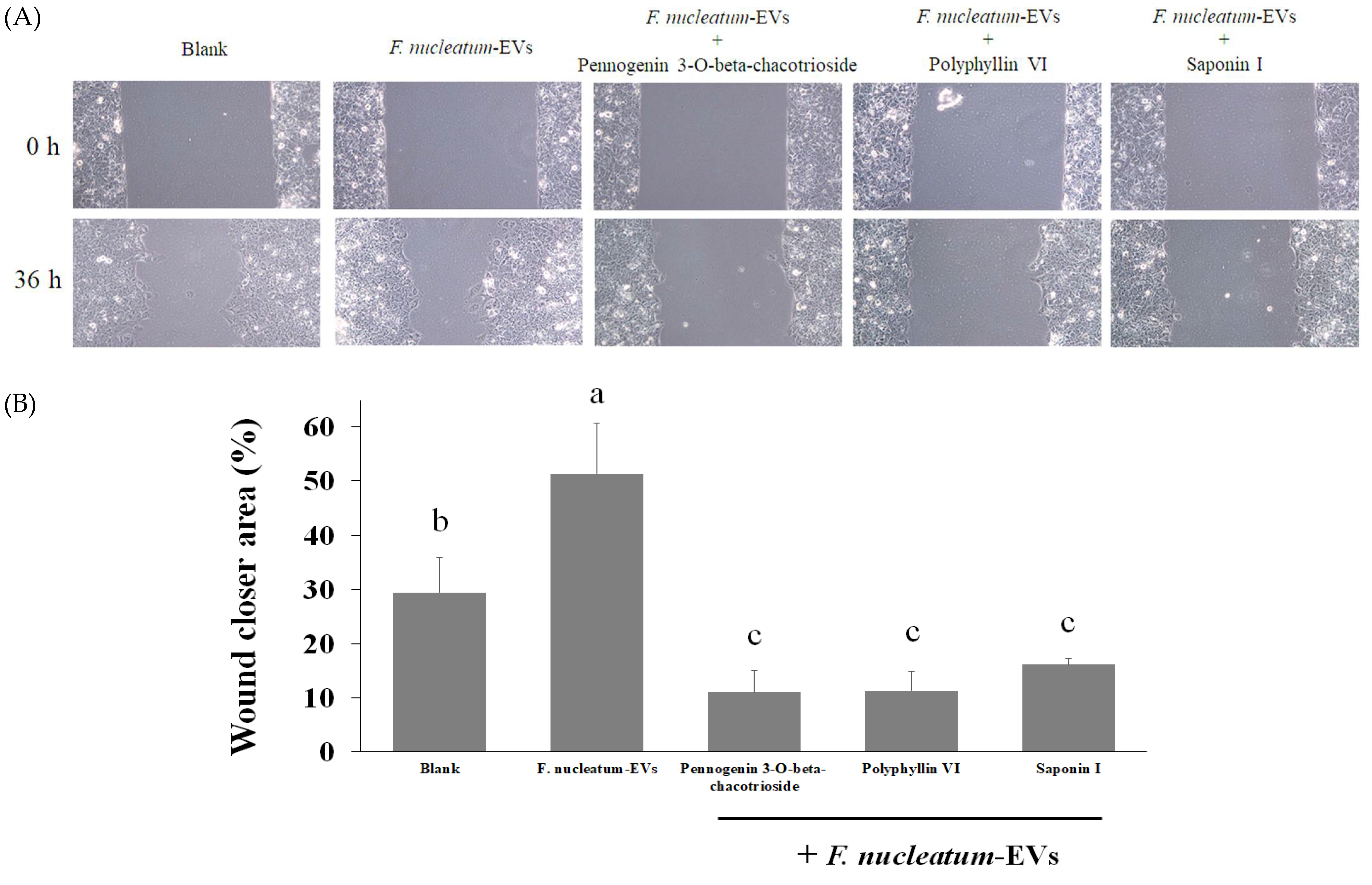 Molecules 26 04081 g008
