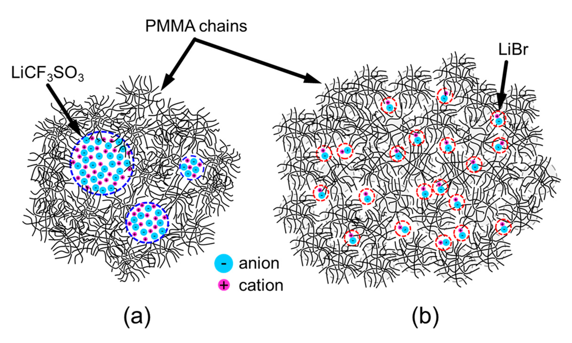 Molecules 26 04096 g006 550