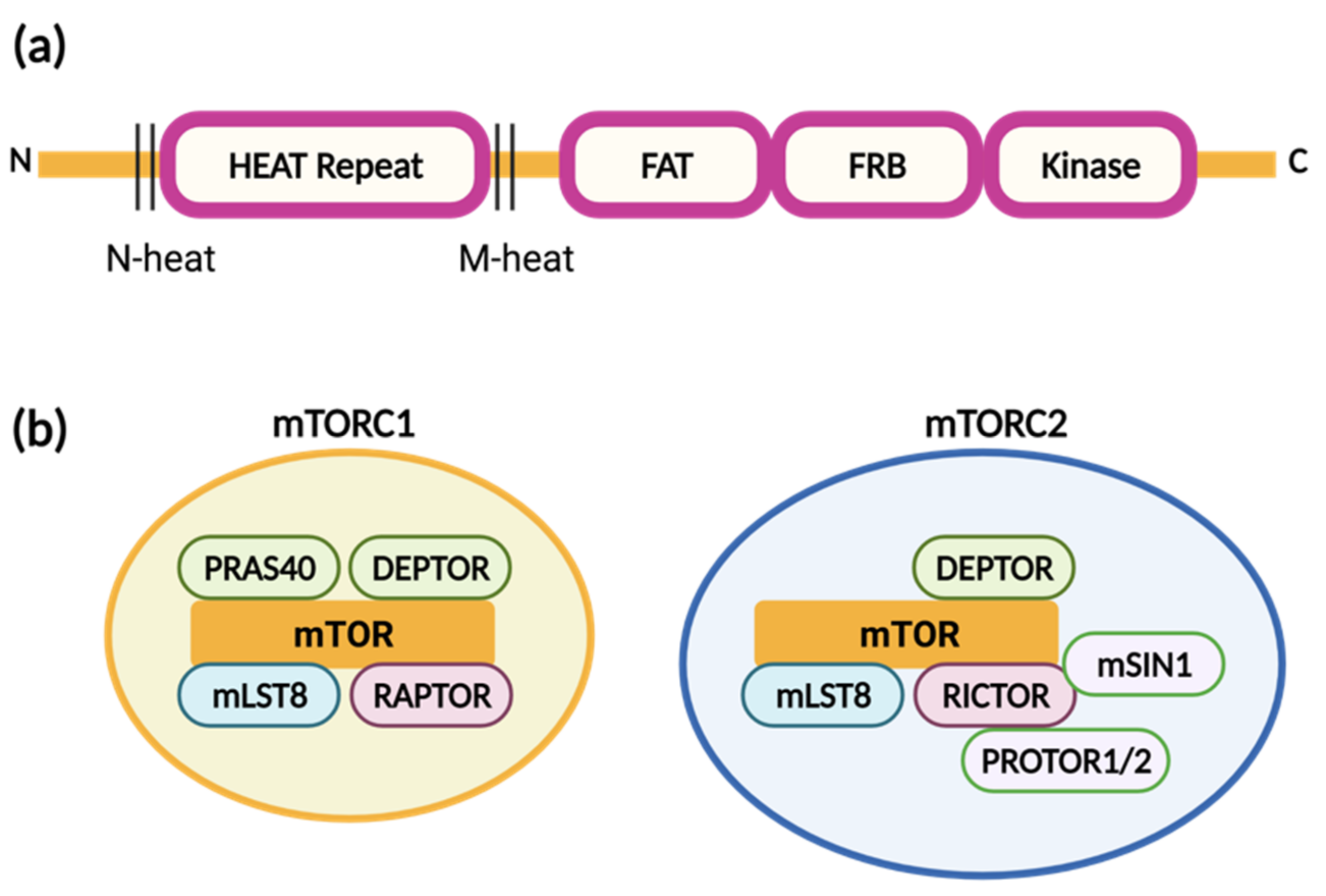 Molecules 26 04100 g004 Molecules 26 04100 g004