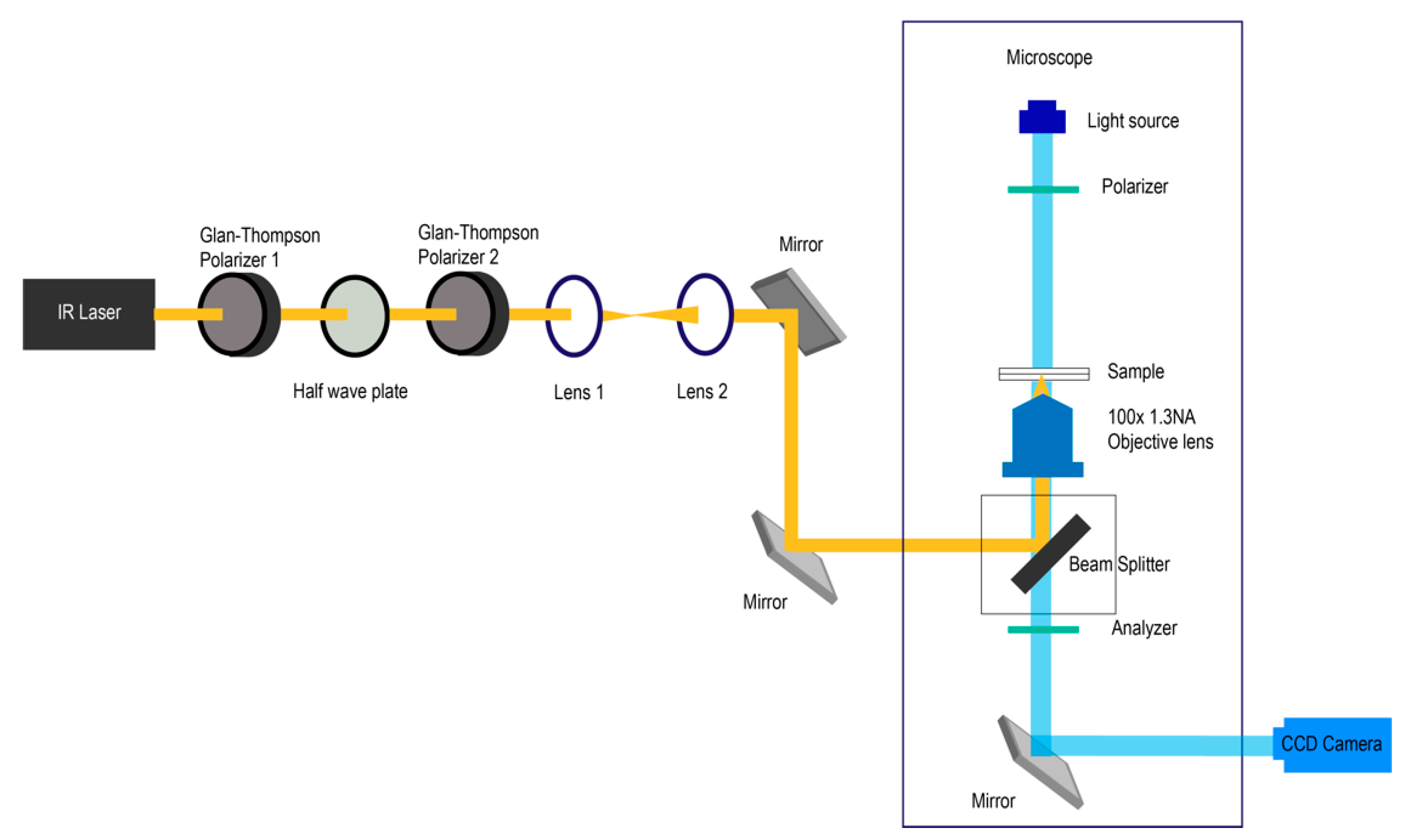Molecules 26 04108 g001 550