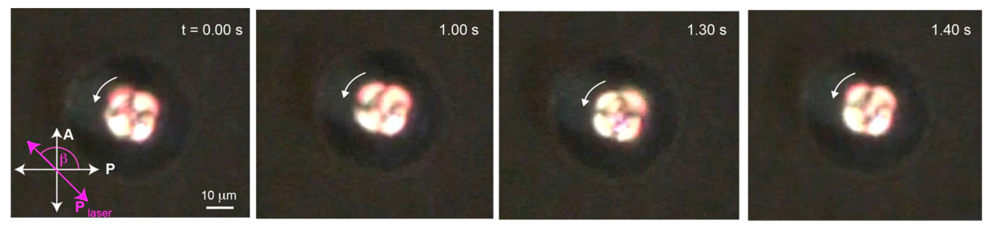 Molecules 26 04108 g005 550