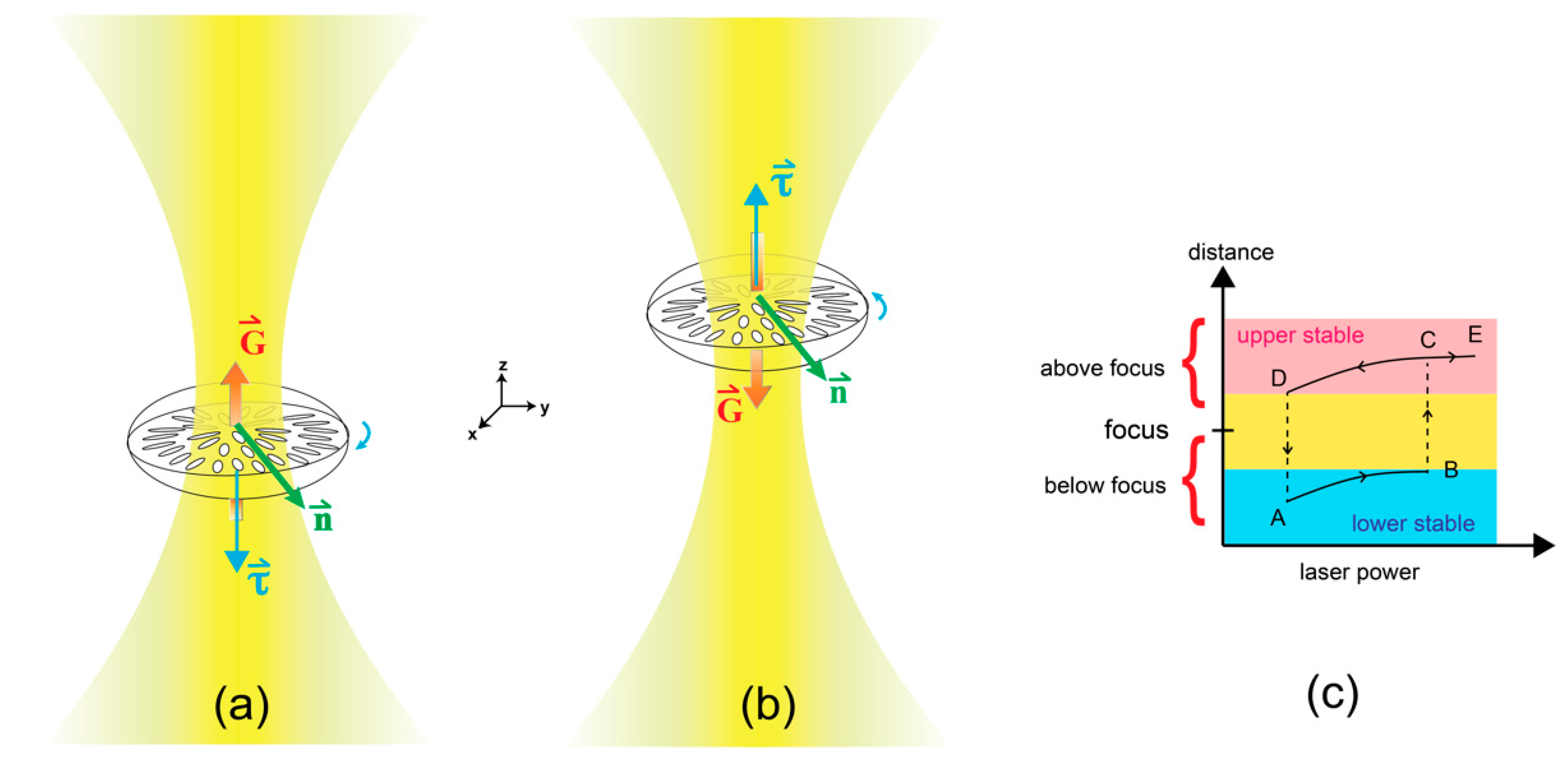 Molecules 26 04108 g006 550