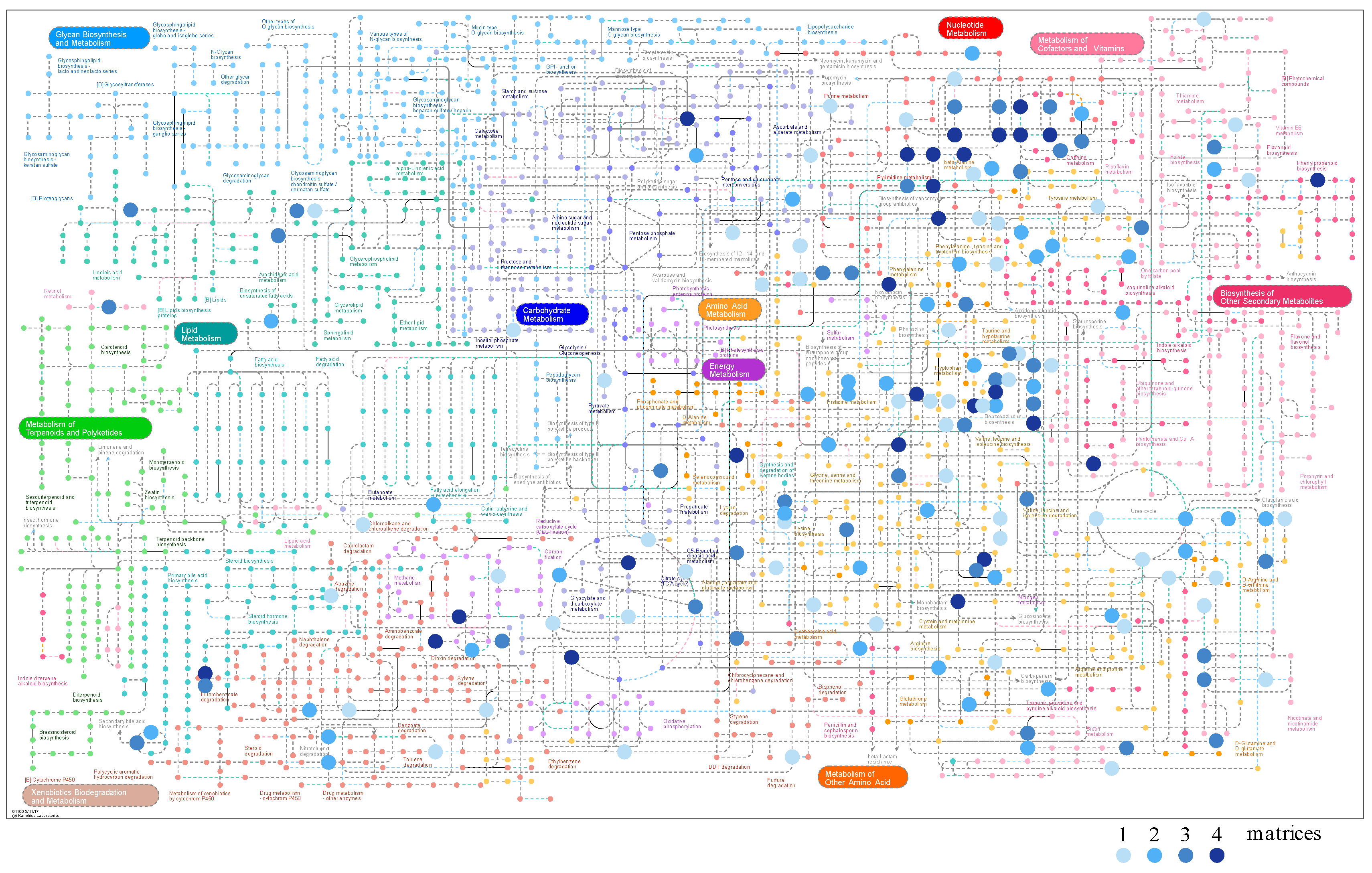 Molecules 26 04111 g004 550