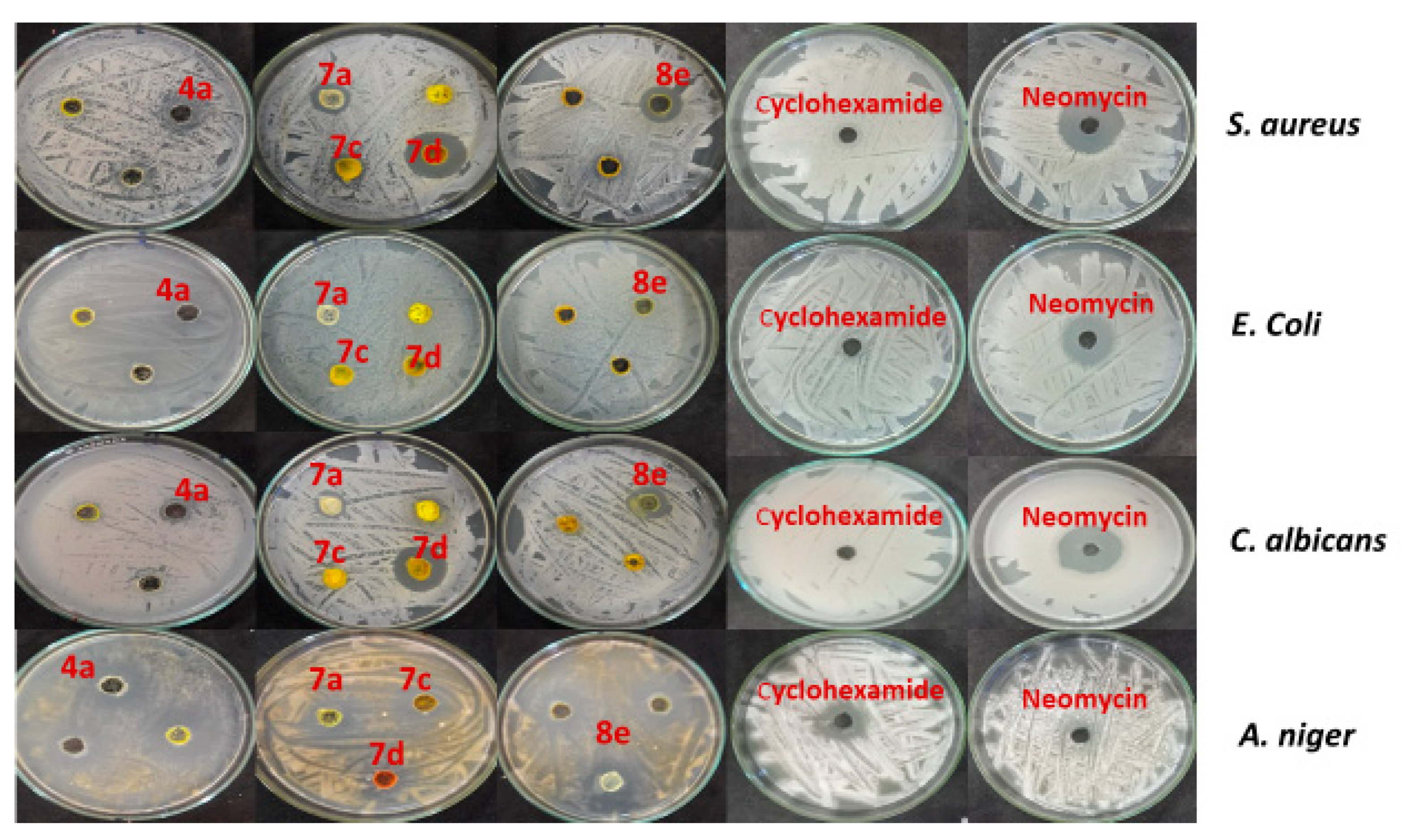 Molecules 26 04112 g002