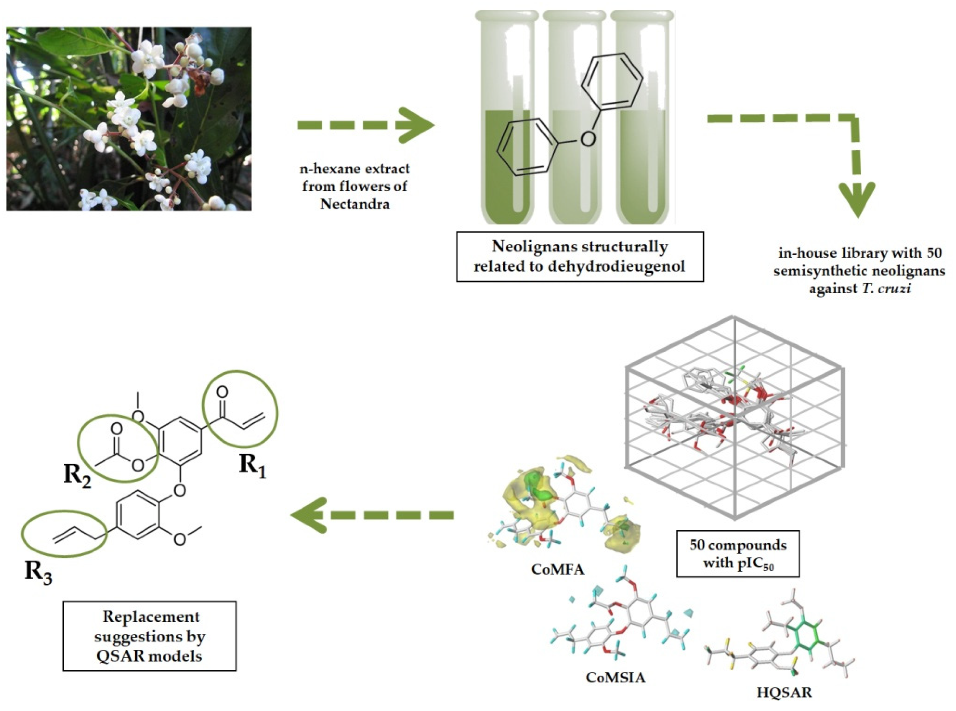 Molecules 26 04116 g001