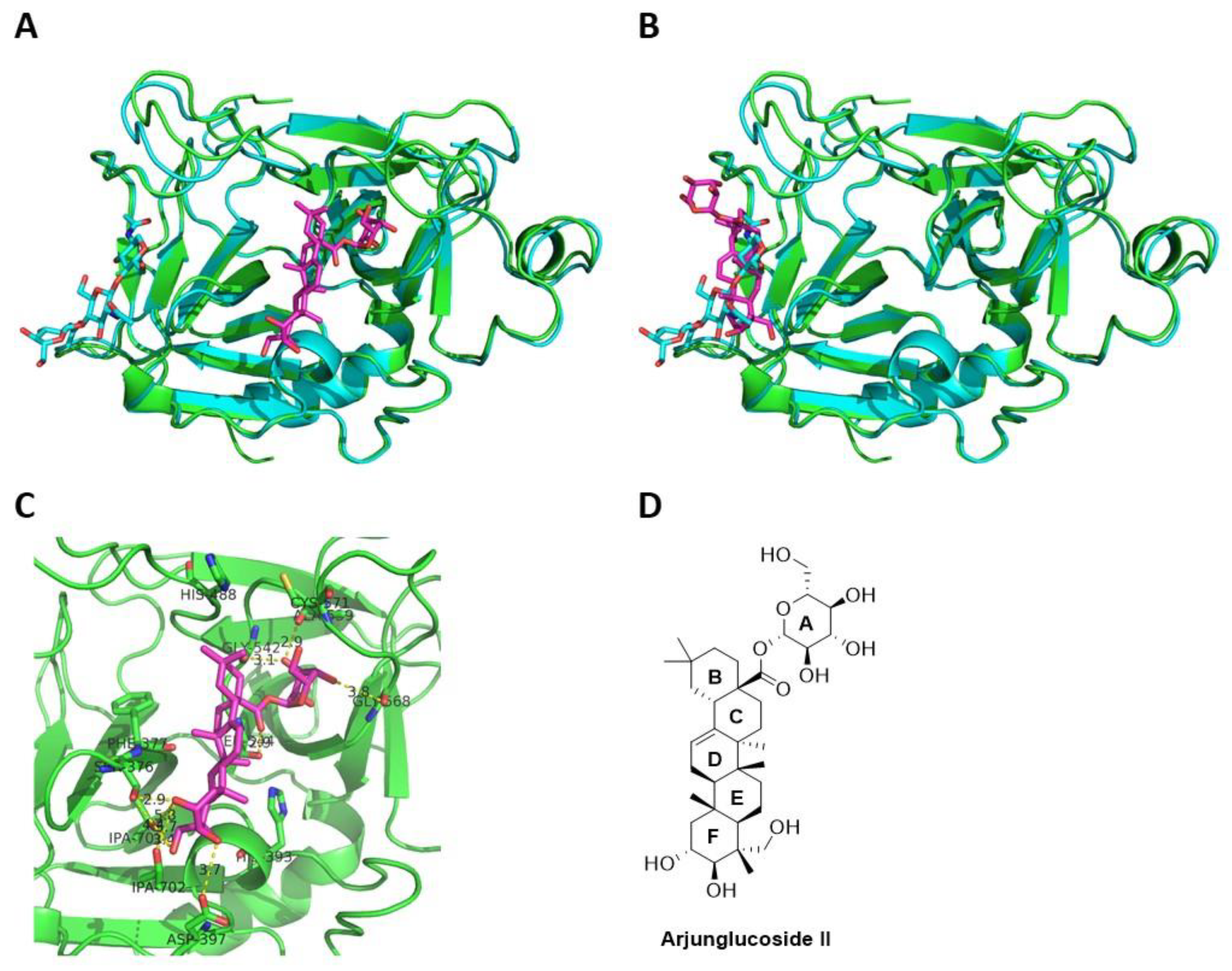 Molecules 26 04126 g006 550