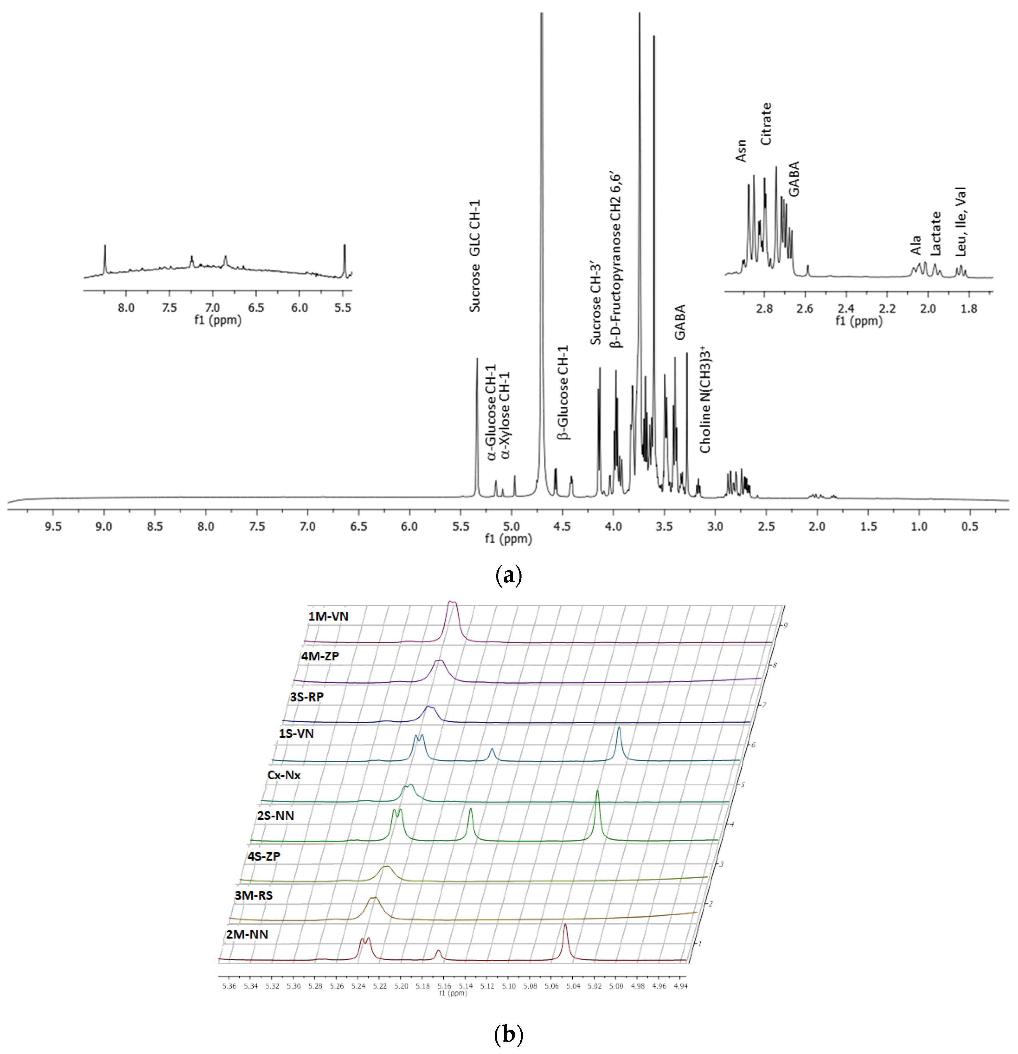 Molecules 26 04128 g004