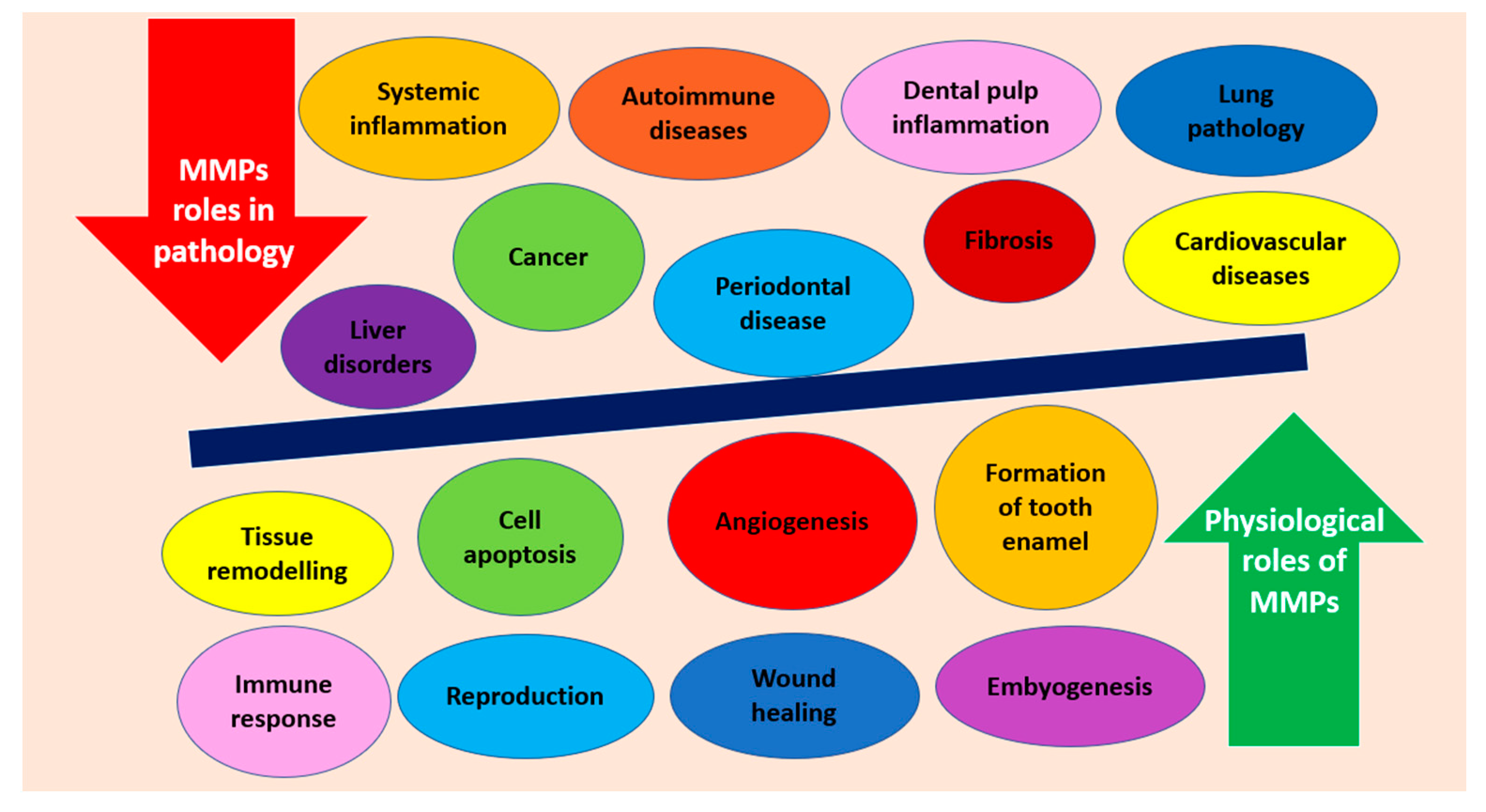 Molecules 26 04129 g002 550