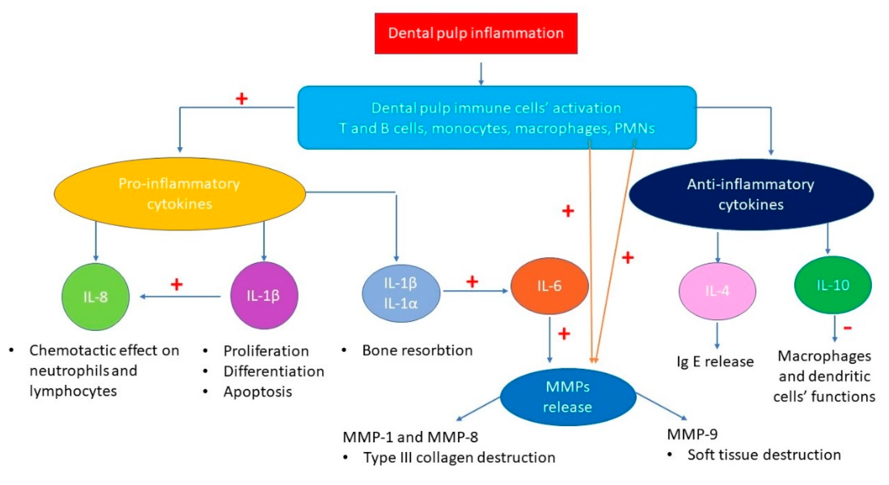 Molecules 26 04129 g004 550