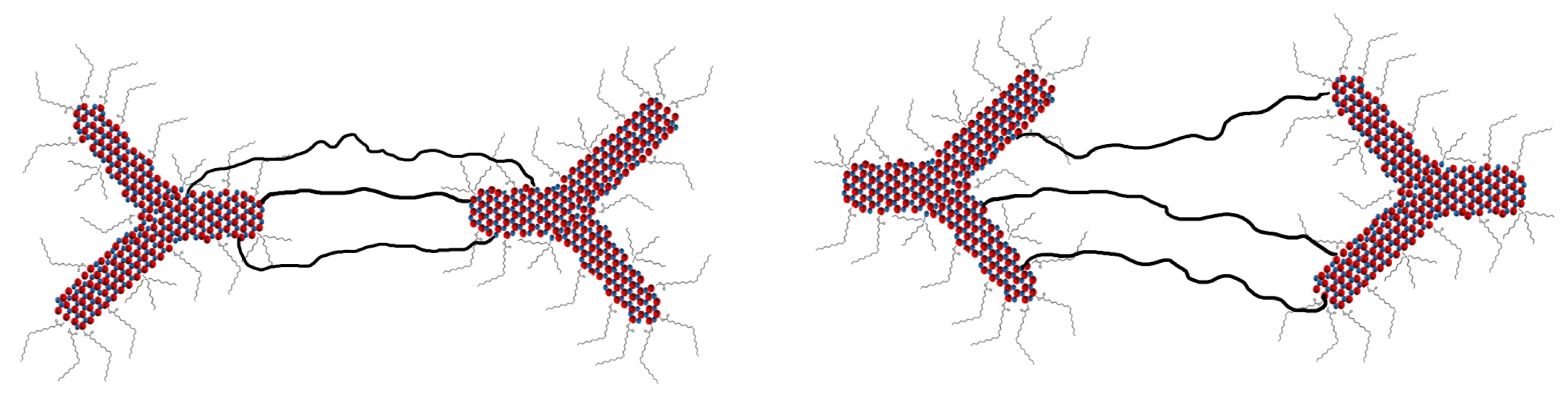 Molecules 26 04131 g005 550