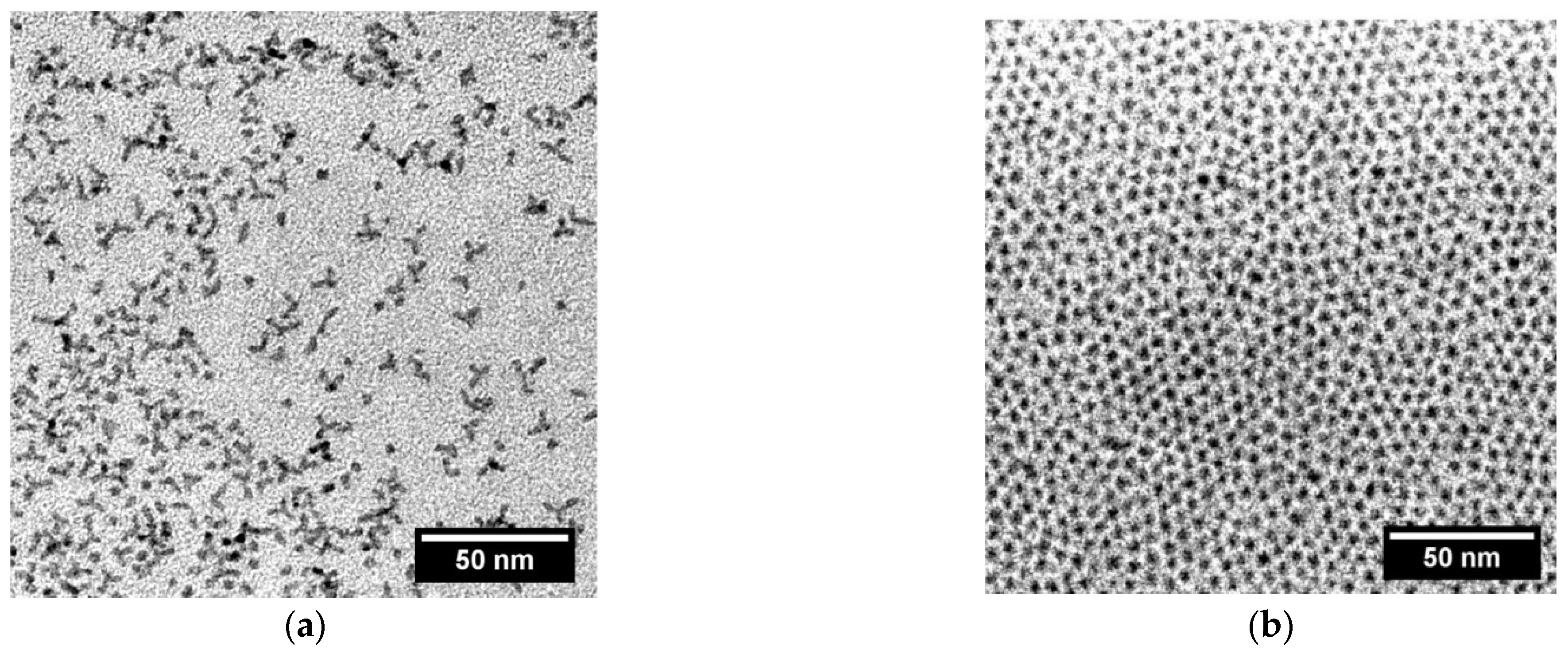 Molecules 26 04131 g006a 550
