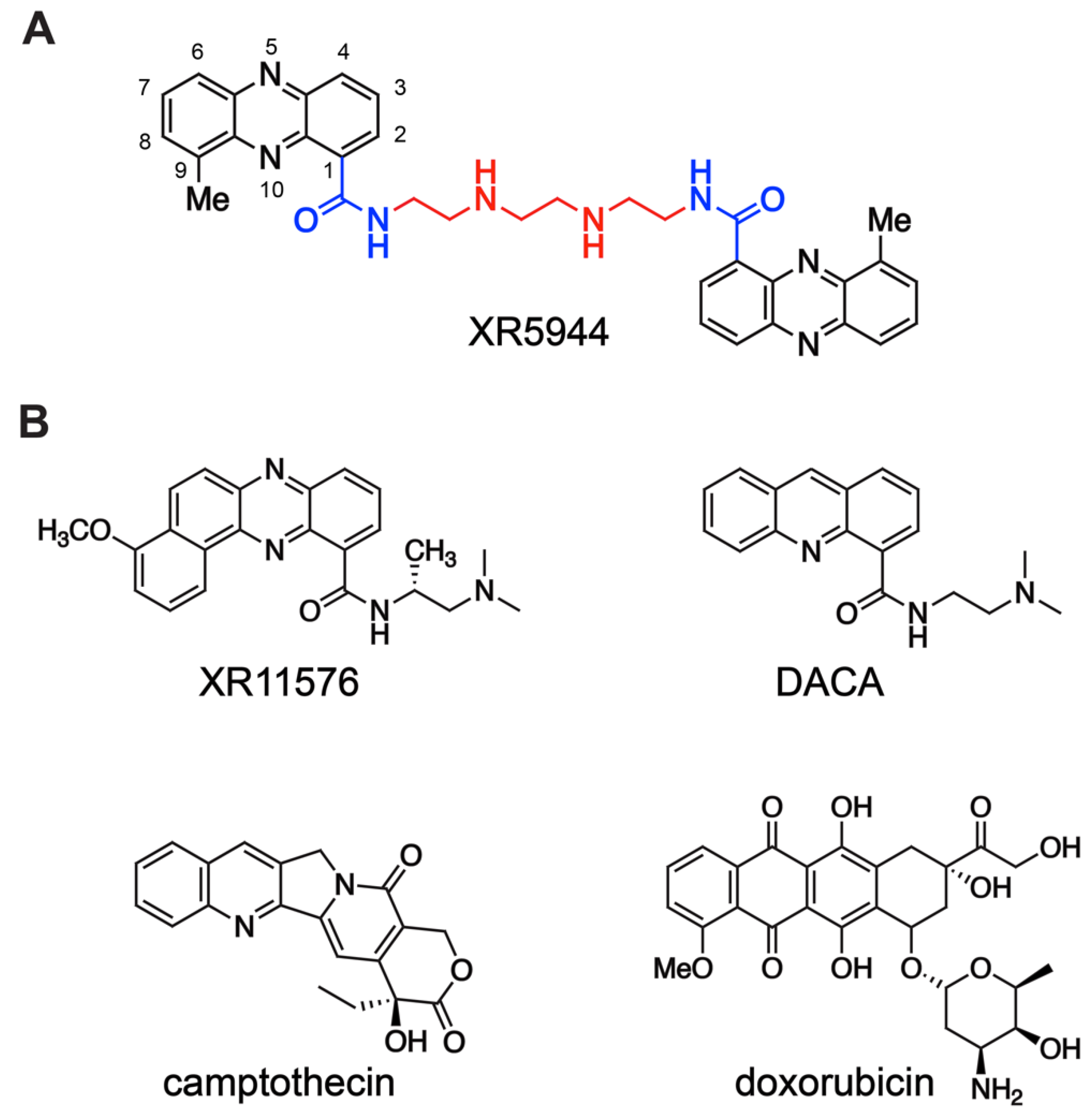 Molecules 26 04132 g001