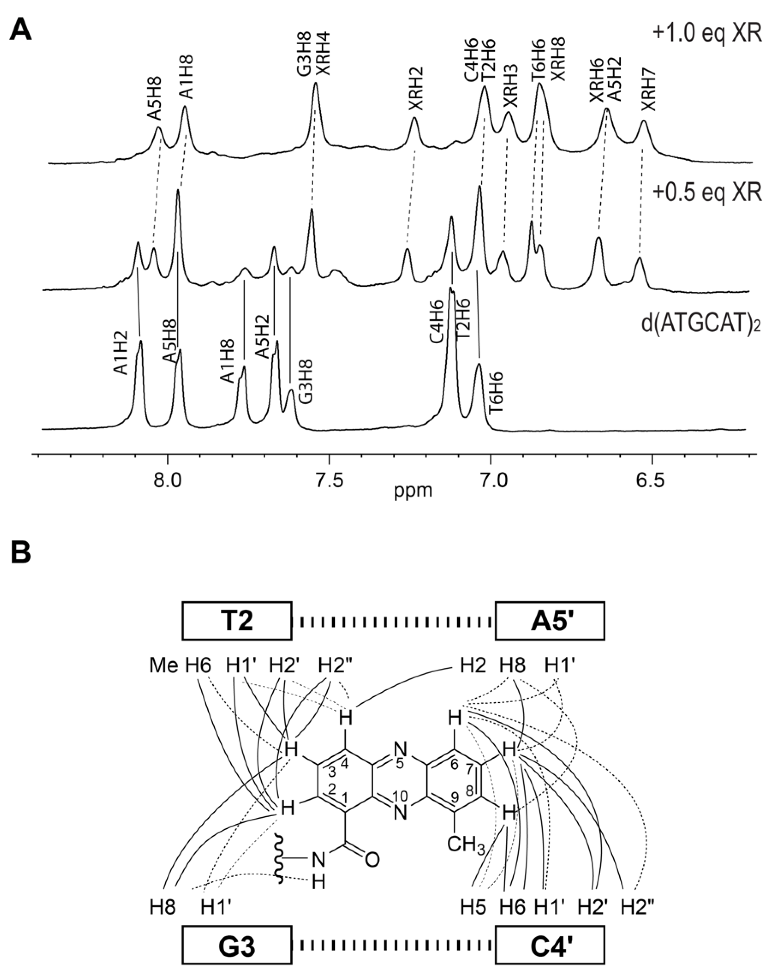 Molecules 26 04132 g003