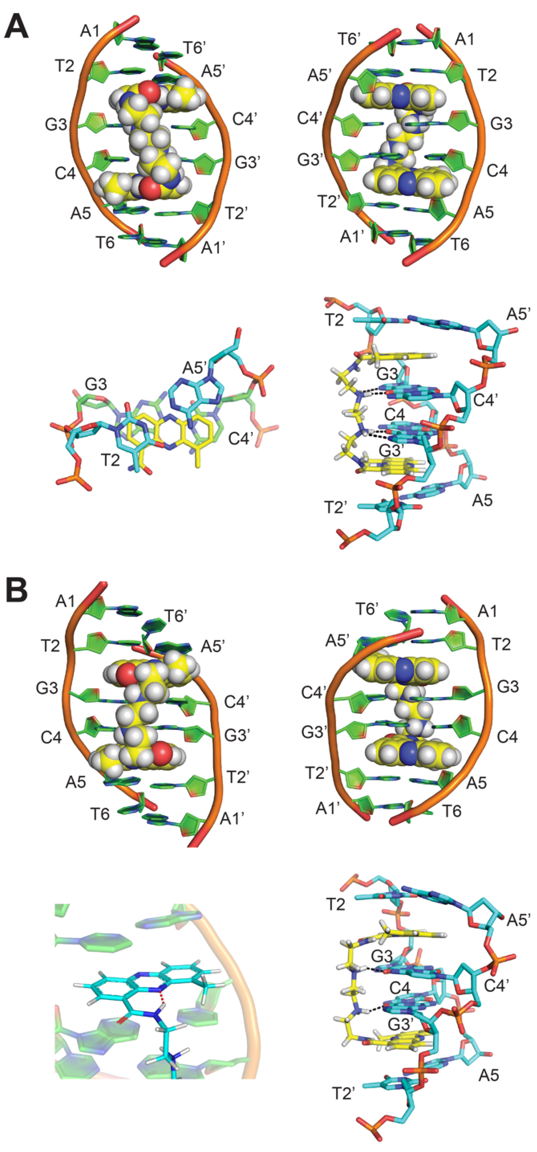Molecules 26 04132 g004