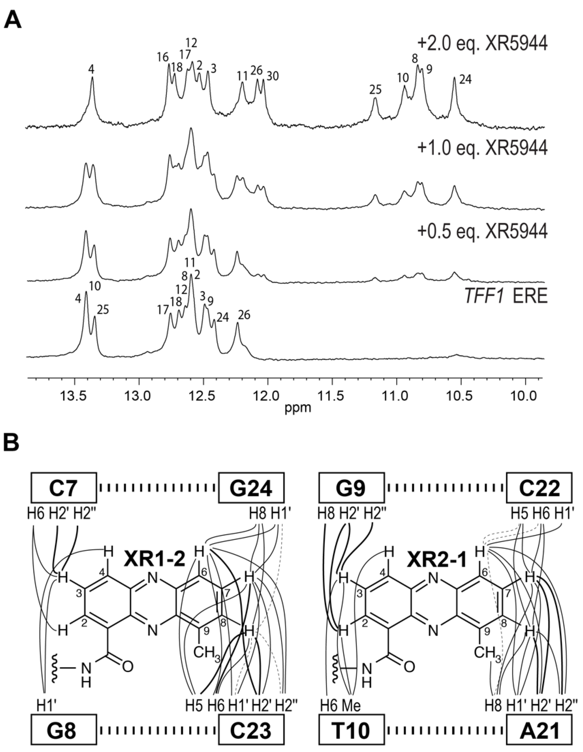 Molecules 26 04132 g007