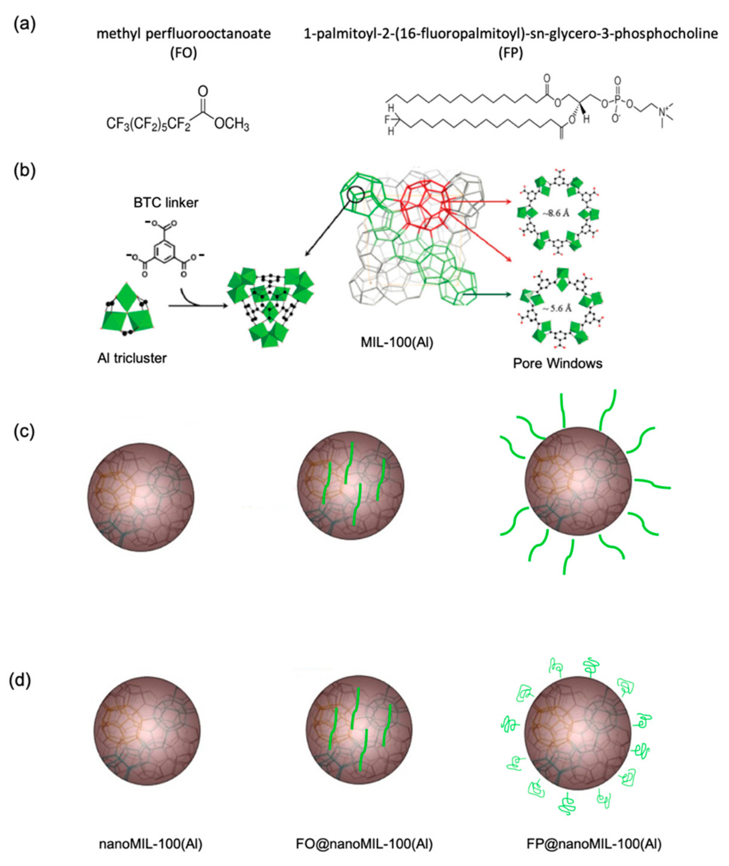 Molecules 26 04142 g011 550