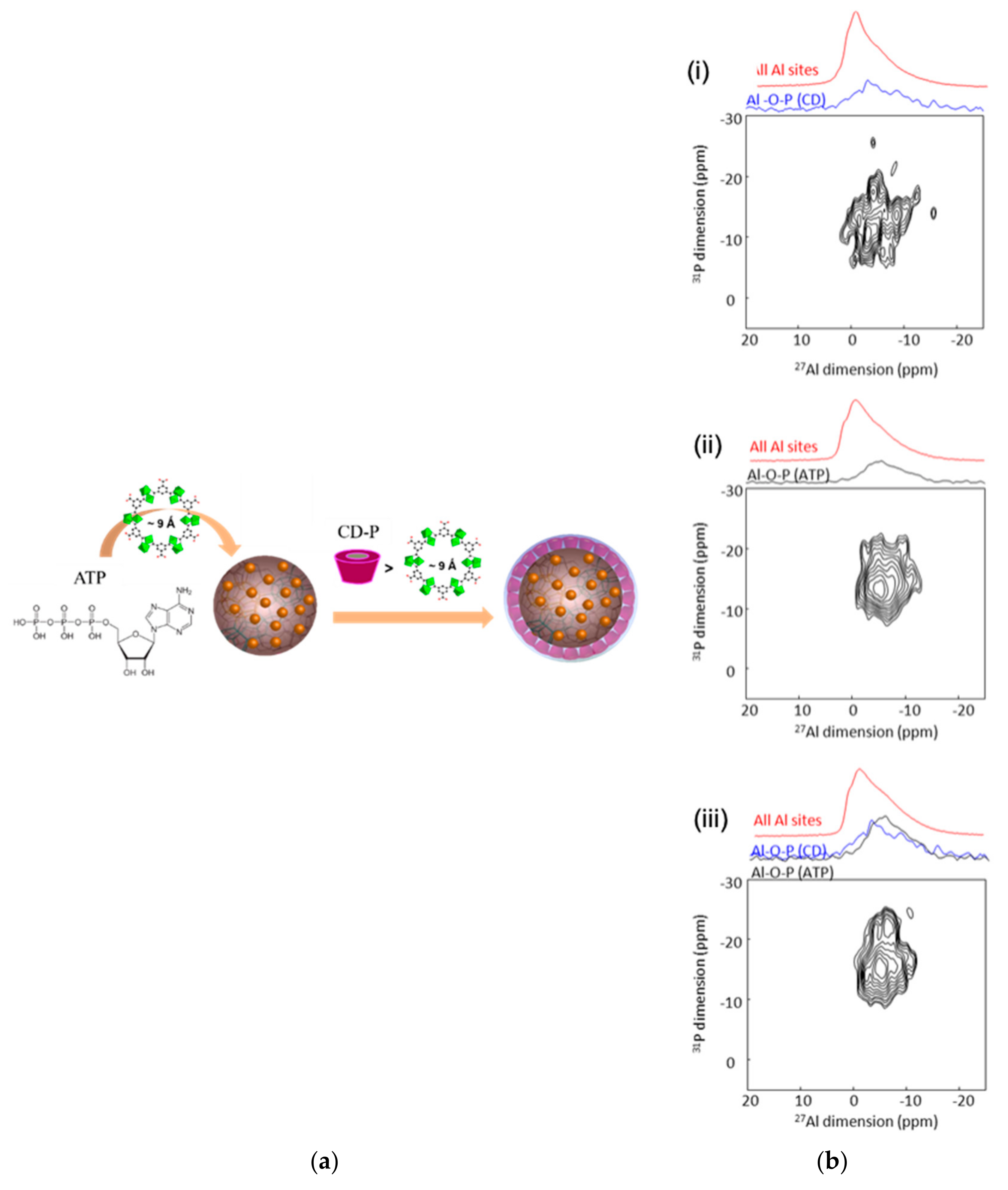 Molecules 26 04142 g014 550