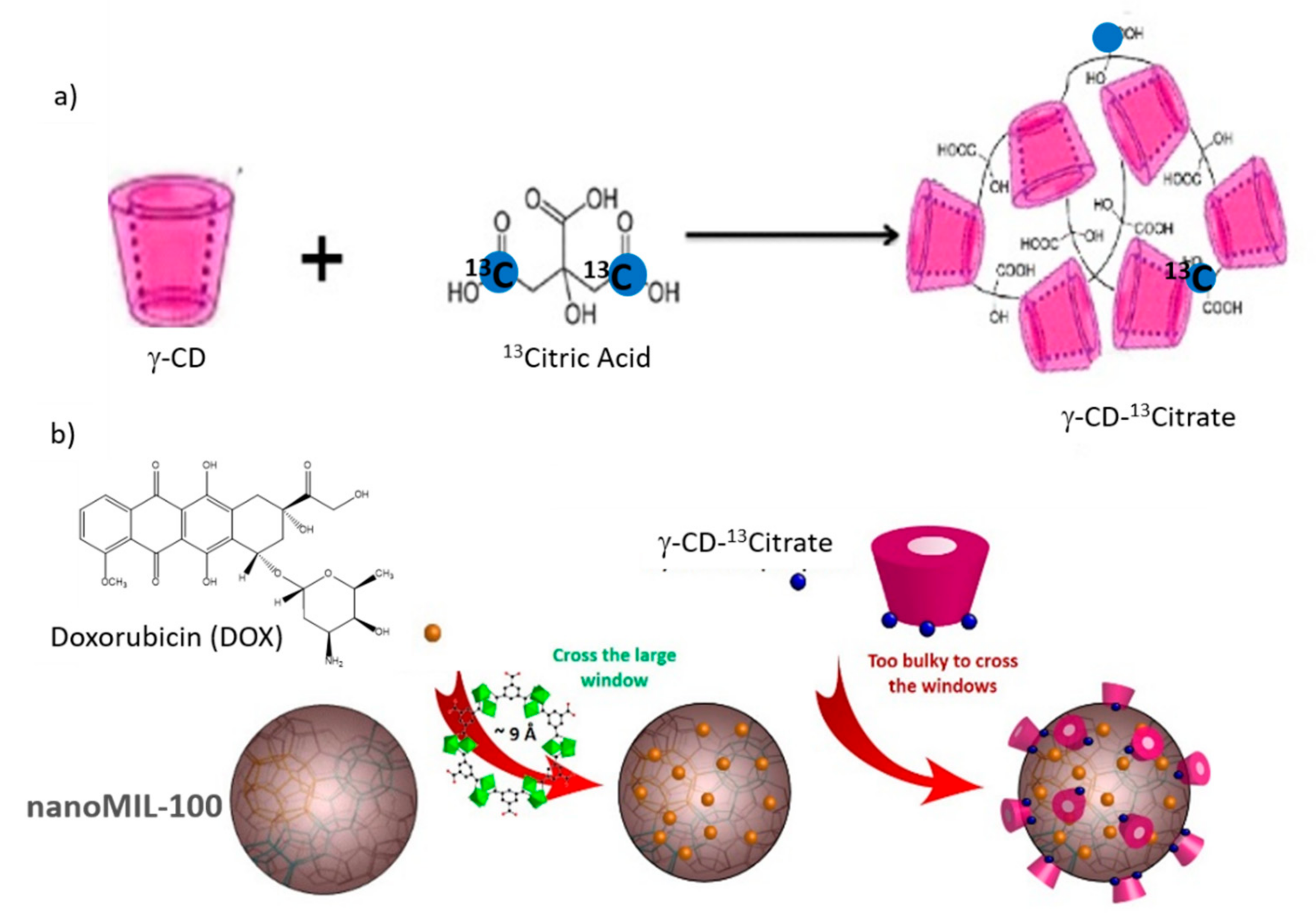 Molecules 26 04142 g015 550