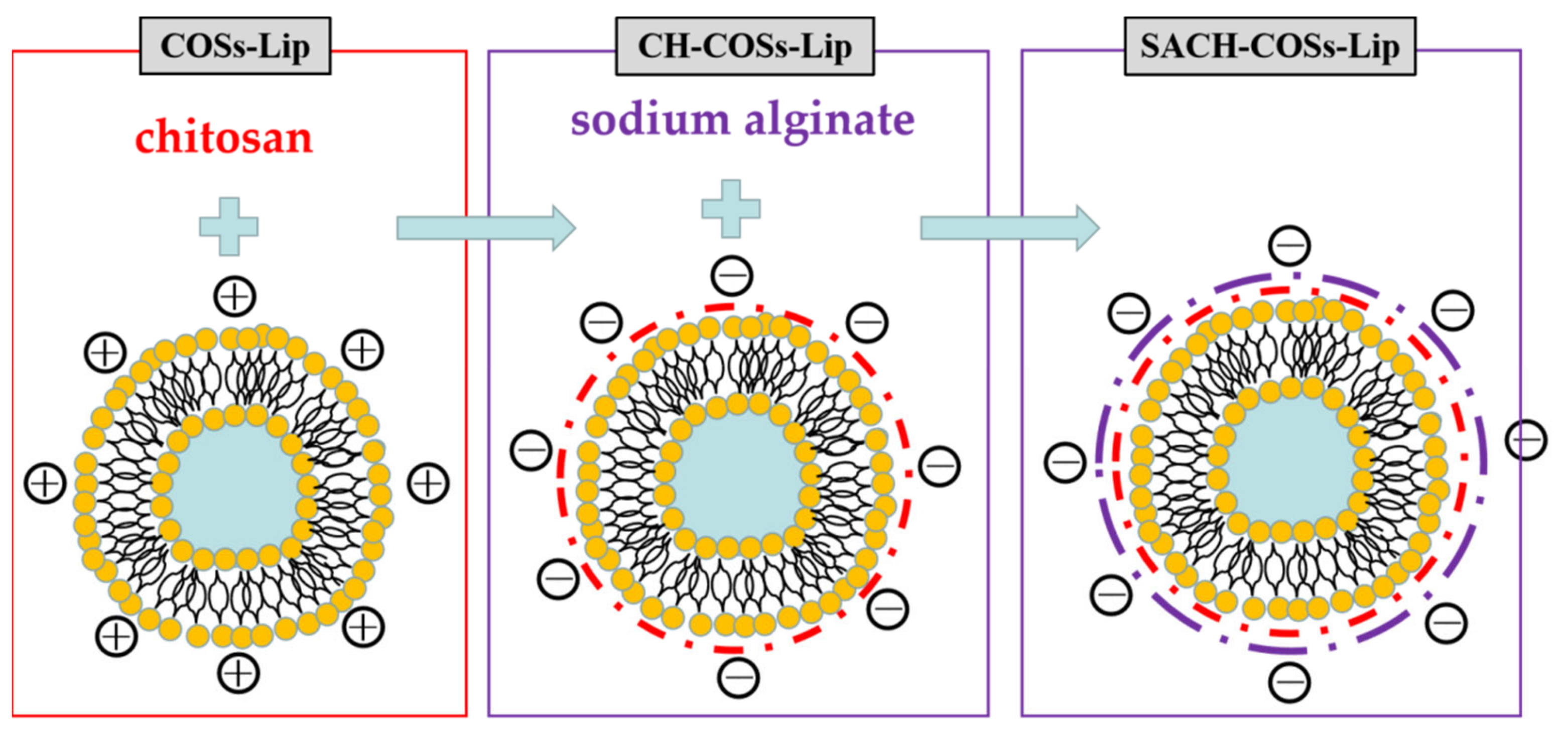 Molecules 26 04144 g002 550