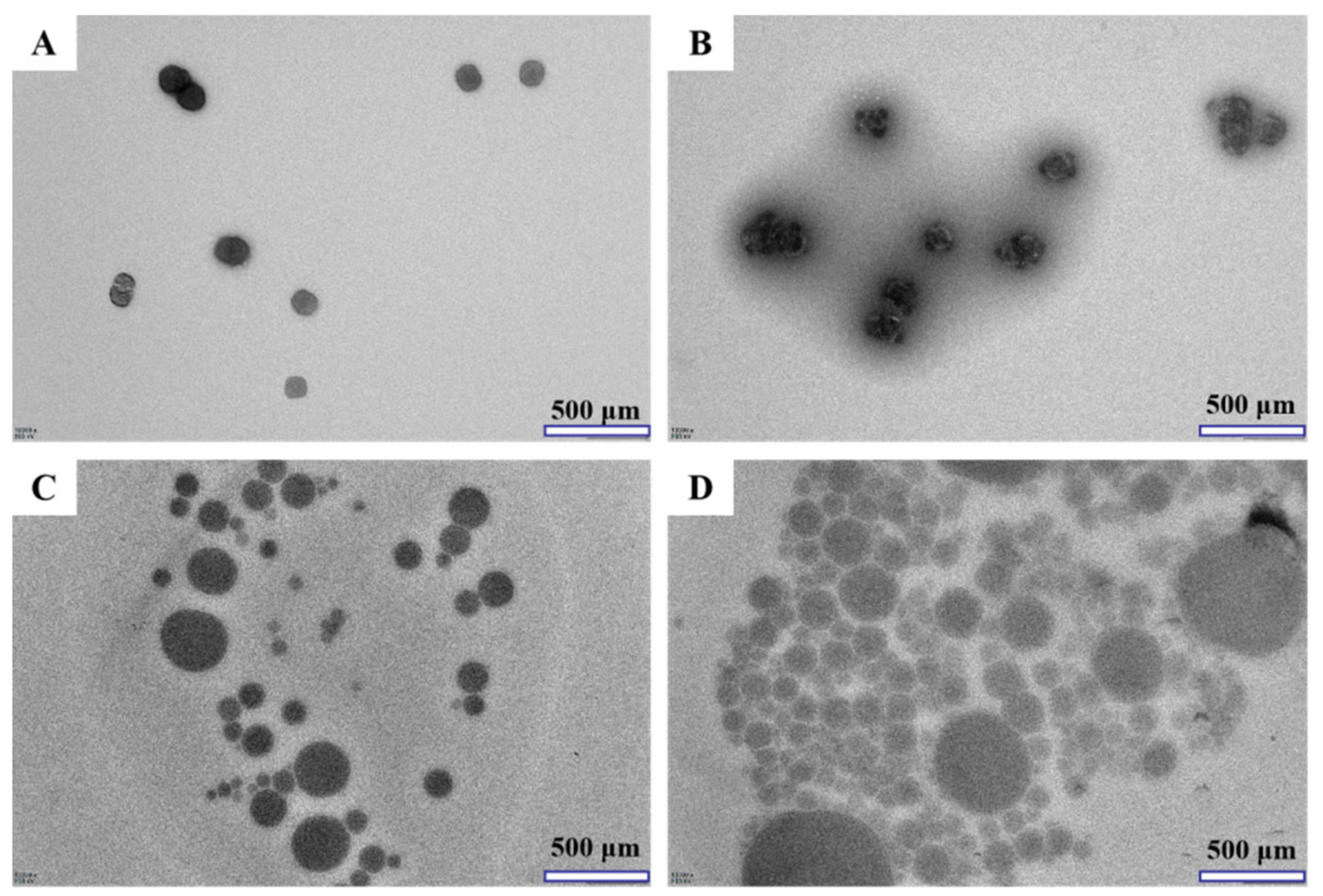 Molecules 26 04144 g004 550