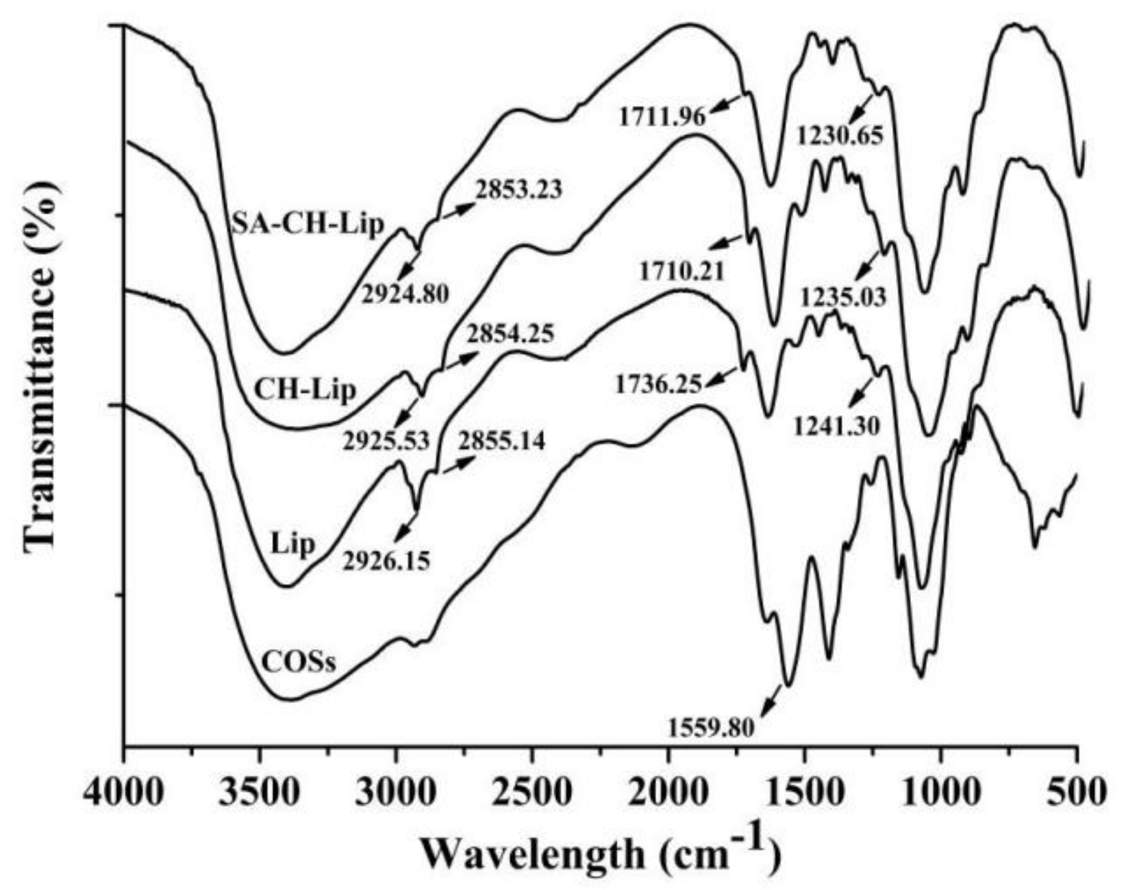 Molecules 26 04144 g005 550