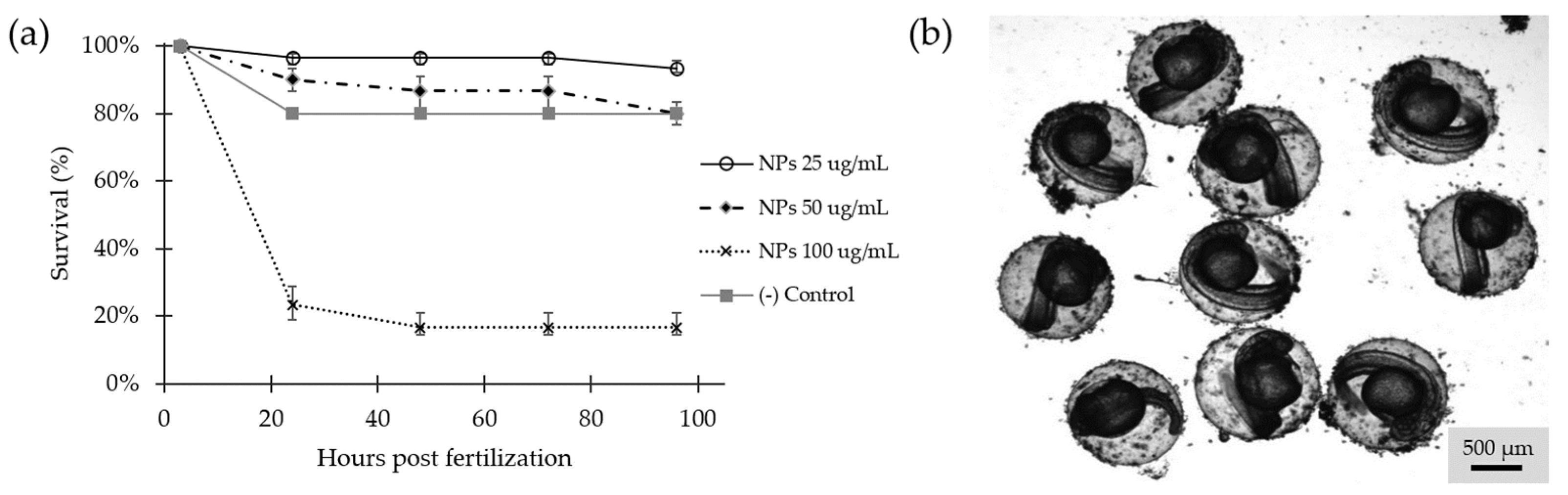 Molecules 26 04150 g009 550