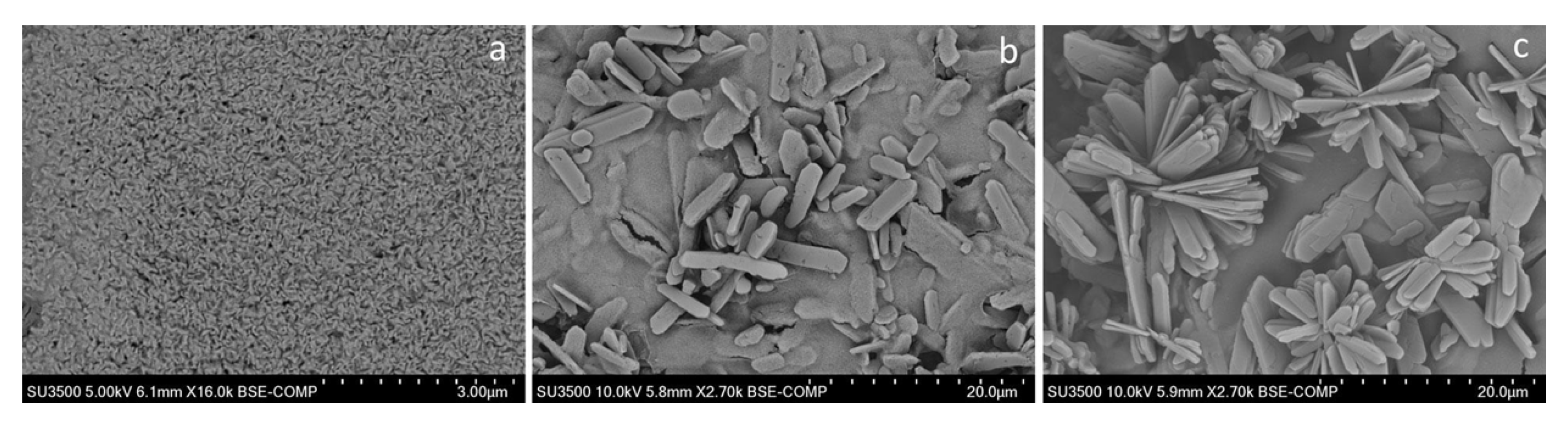 Molecules 26 04152 g005