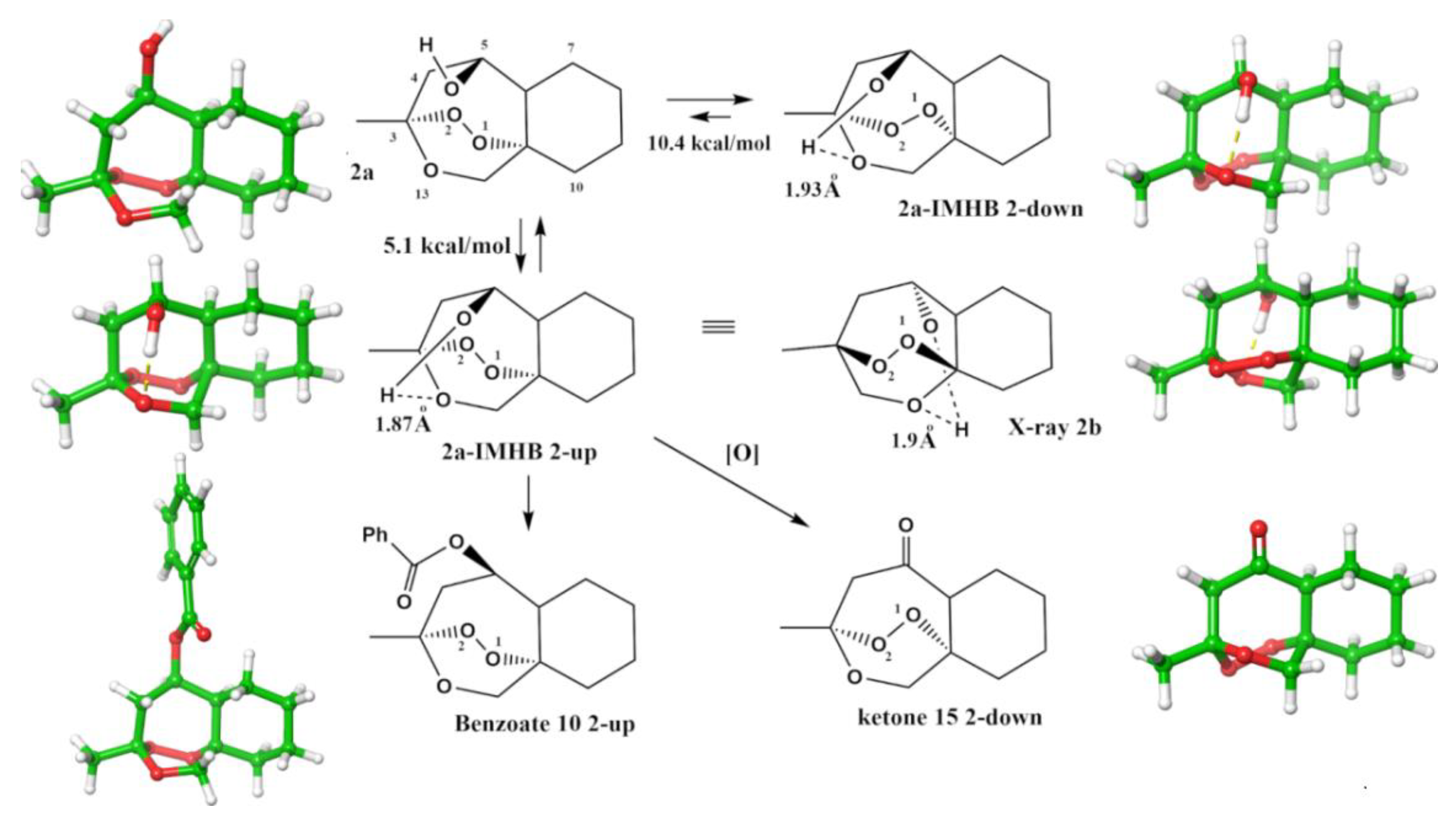 Molecules 26 04163 g003