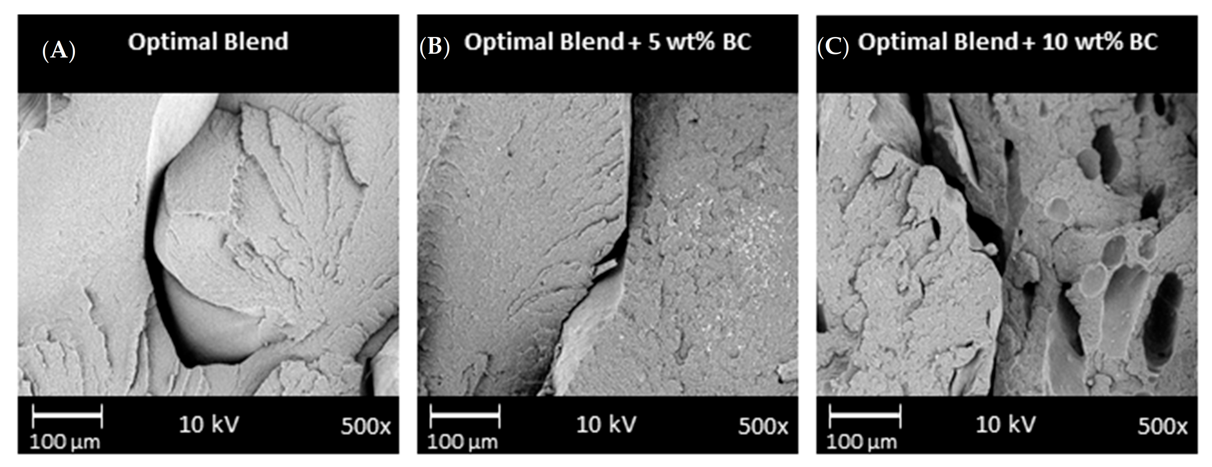 Molecules 26 04164 g006