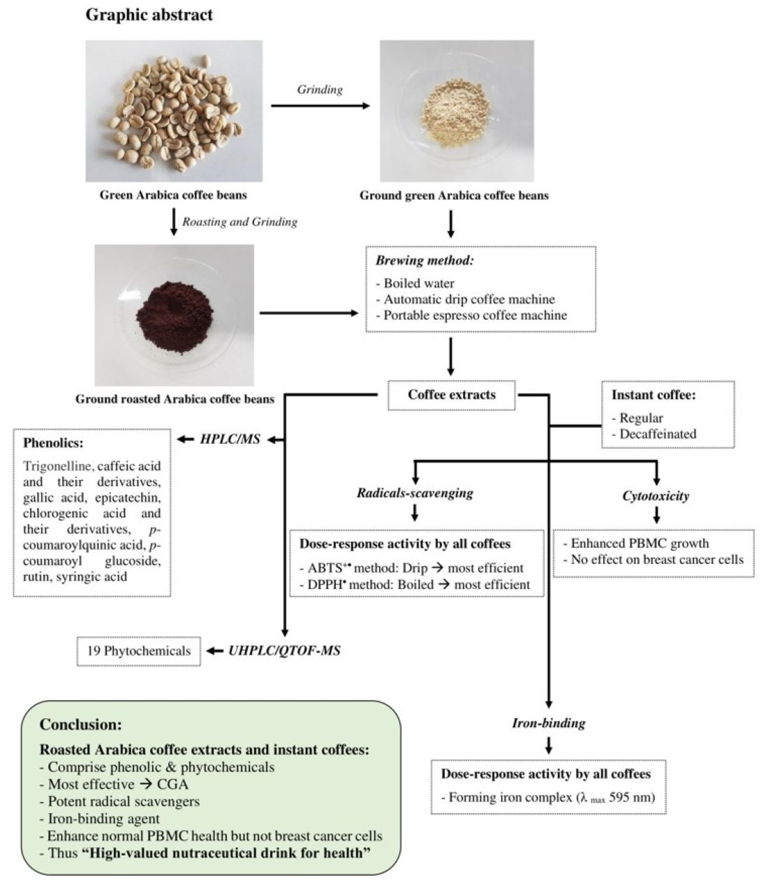 Molecules Free Full Text Chemical Analysis Toxicity Study And Free Radical Scavenging And Iron Binding Assays Involving Coffee Coffea Arabica Extracts Html
