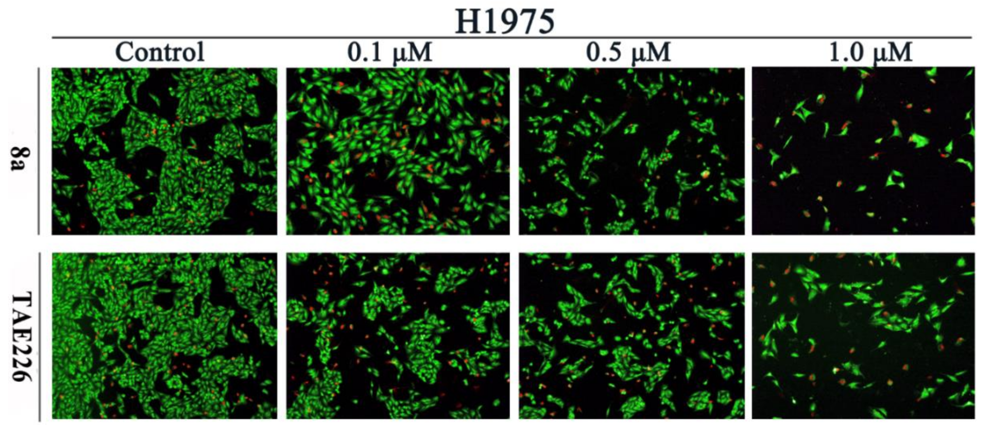 Molecules 26 04187 g004 550