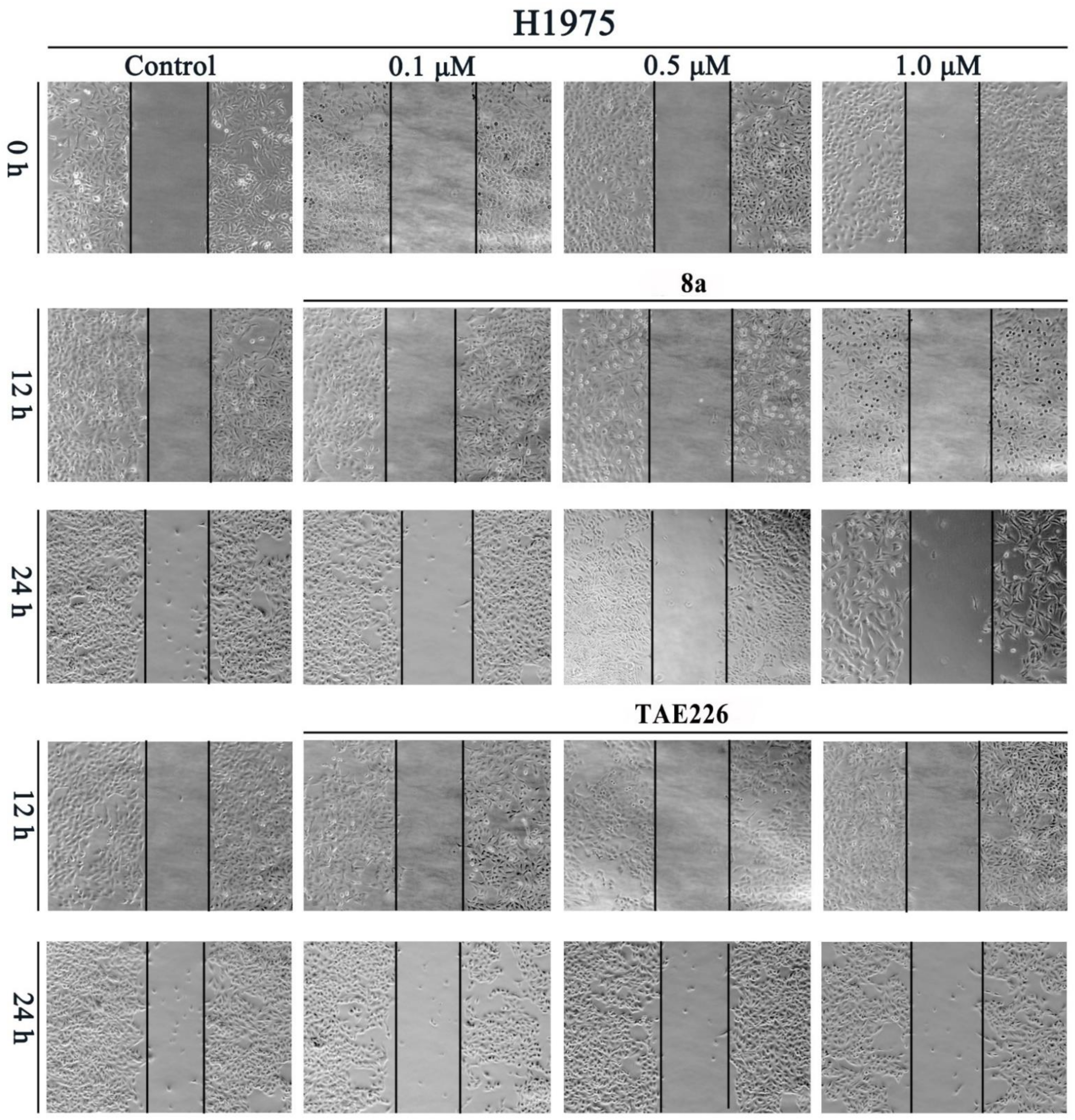 Molecules 26 04187 g009 550