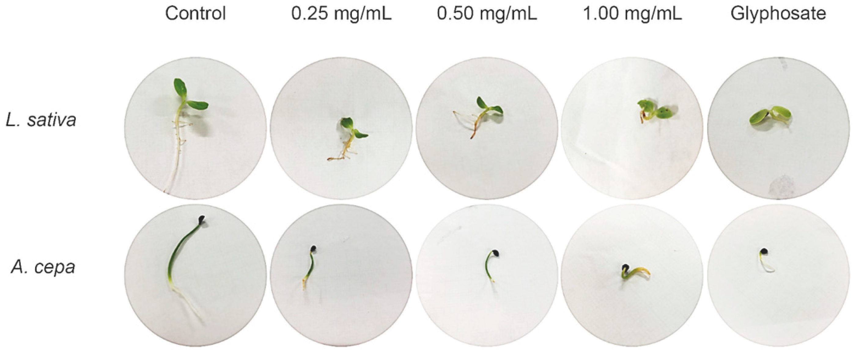 Molecules 26 04197 g005