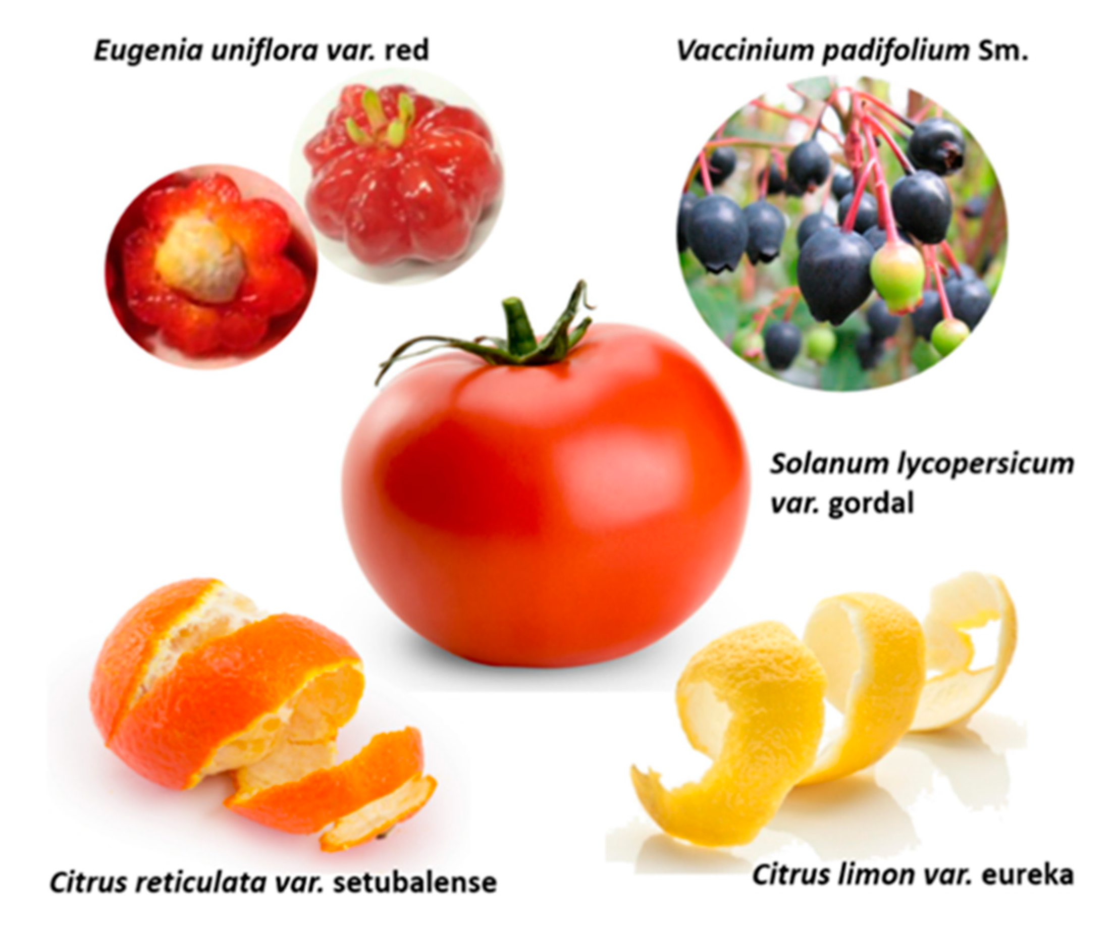 Molecules 26 04202 g001 550