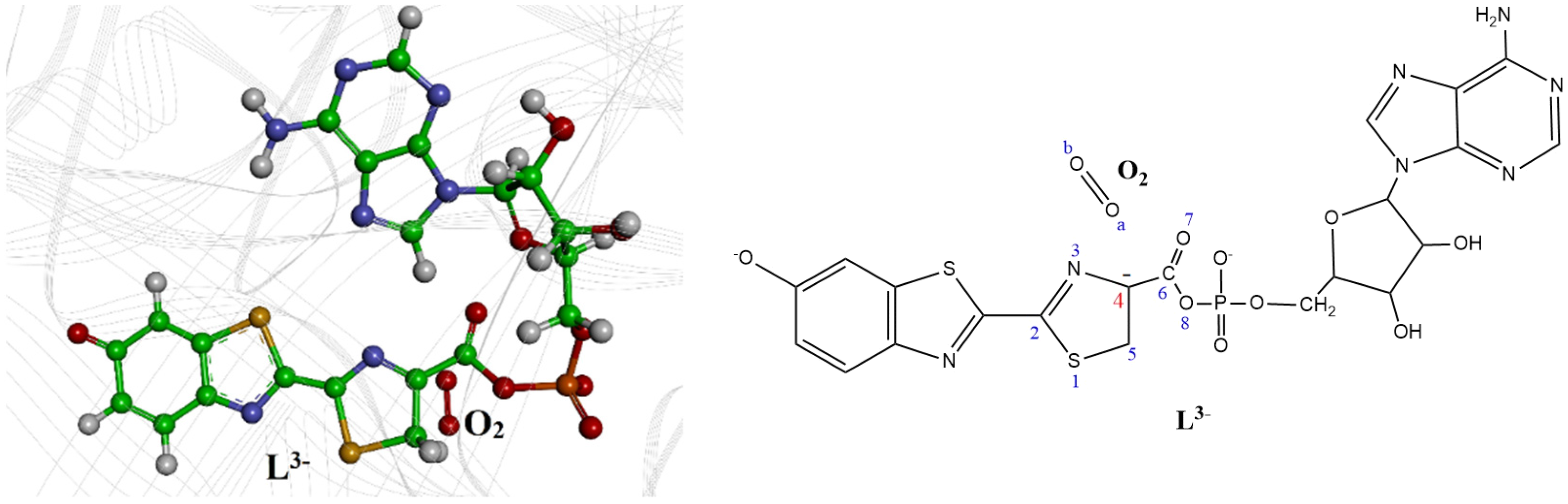Molecules 26 04222 g002