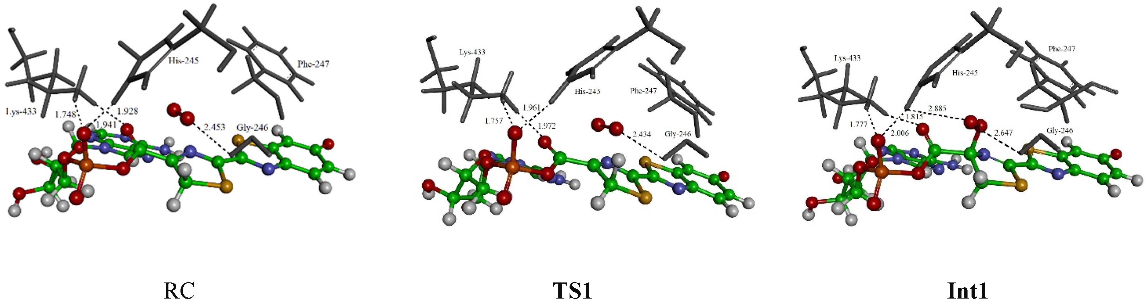 Molecules 26 04222 g004