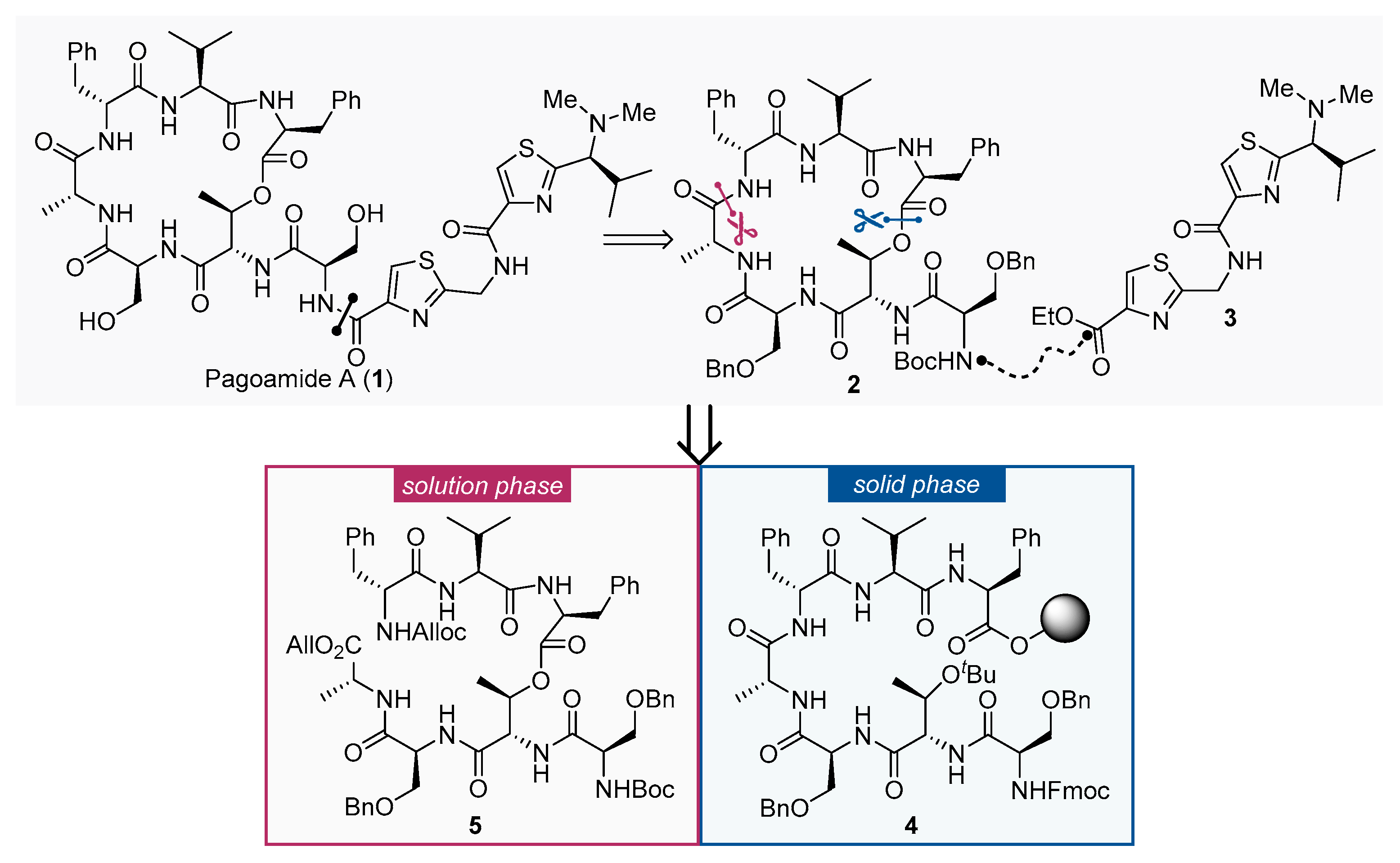 Molecules 26 04224 sch001