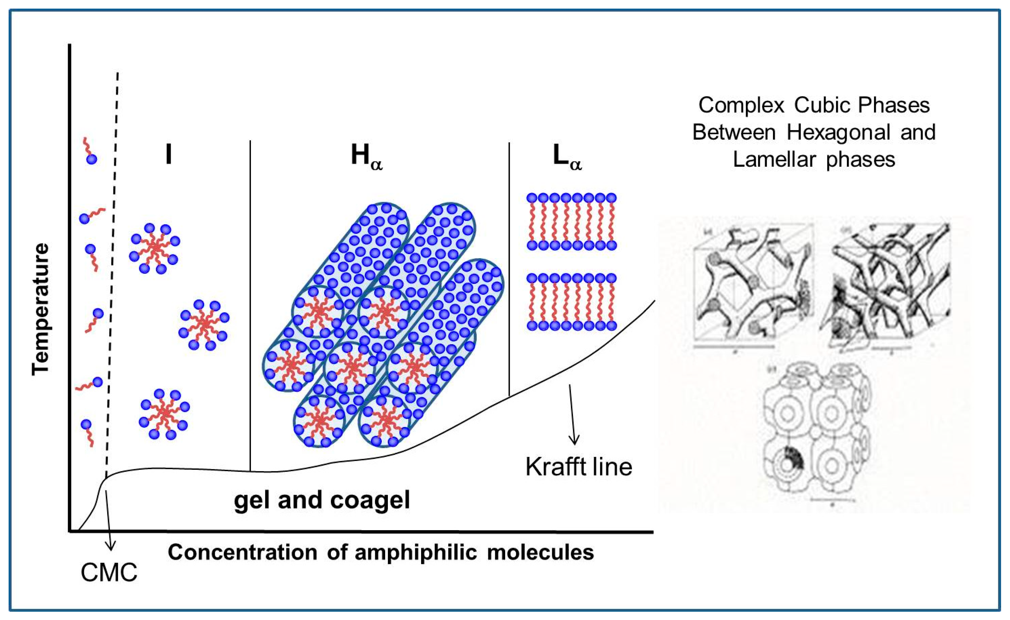 Molecules 26 04233 g003